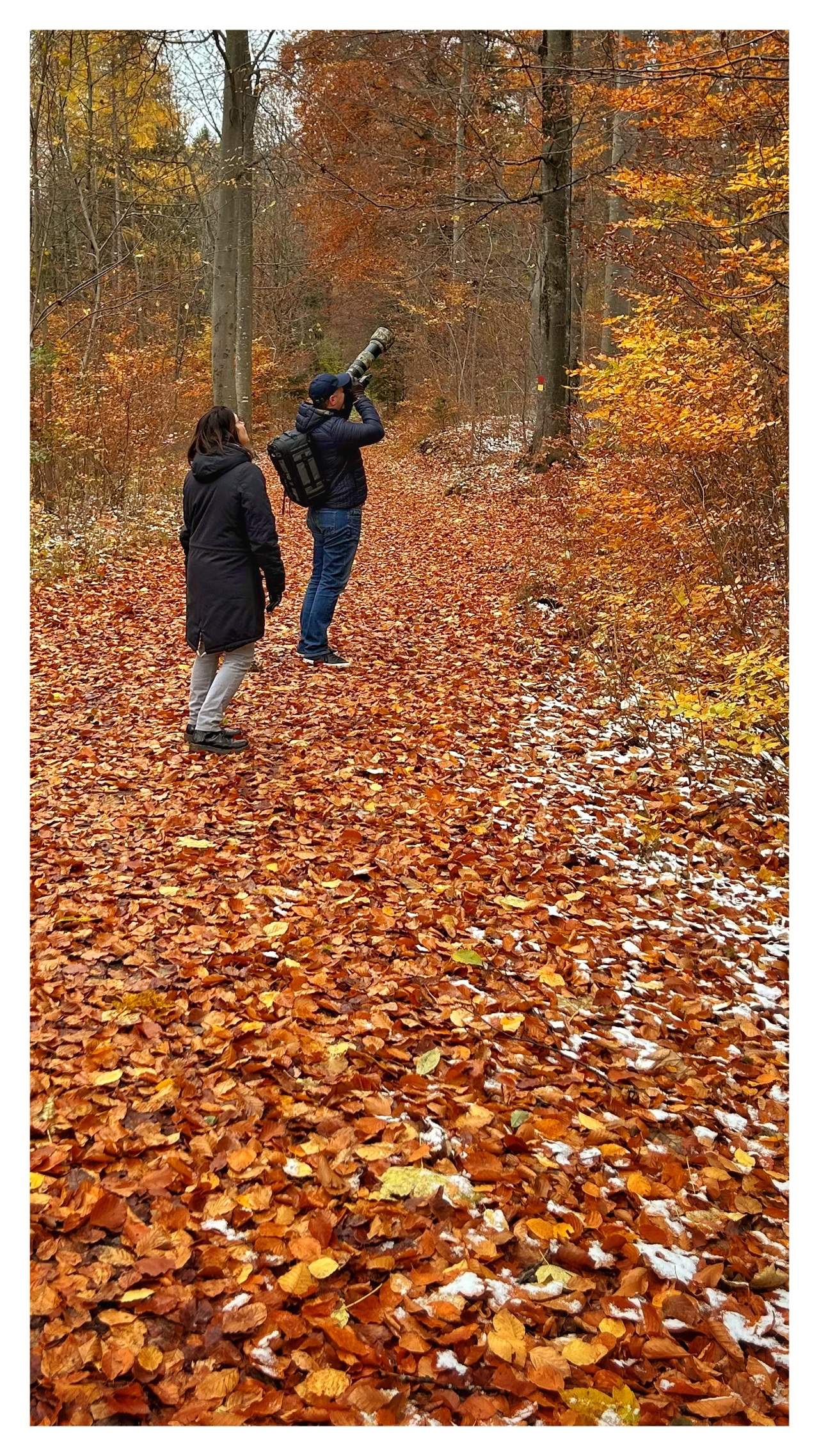 Bild ohne Beschreibung Bild ohne Beschreibung