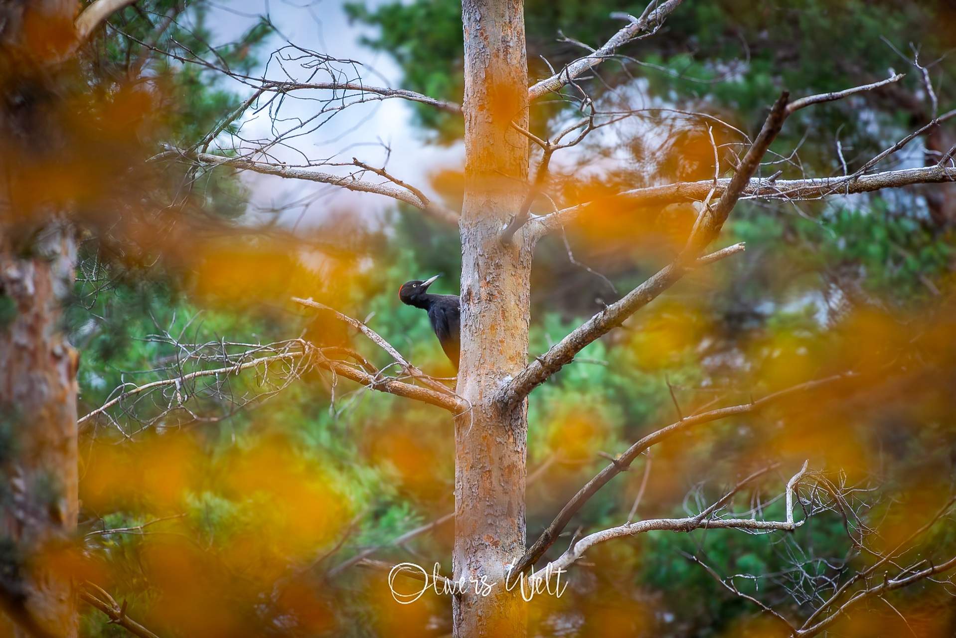 Bild ohne Beschreibung Bild ohne Beschreibung