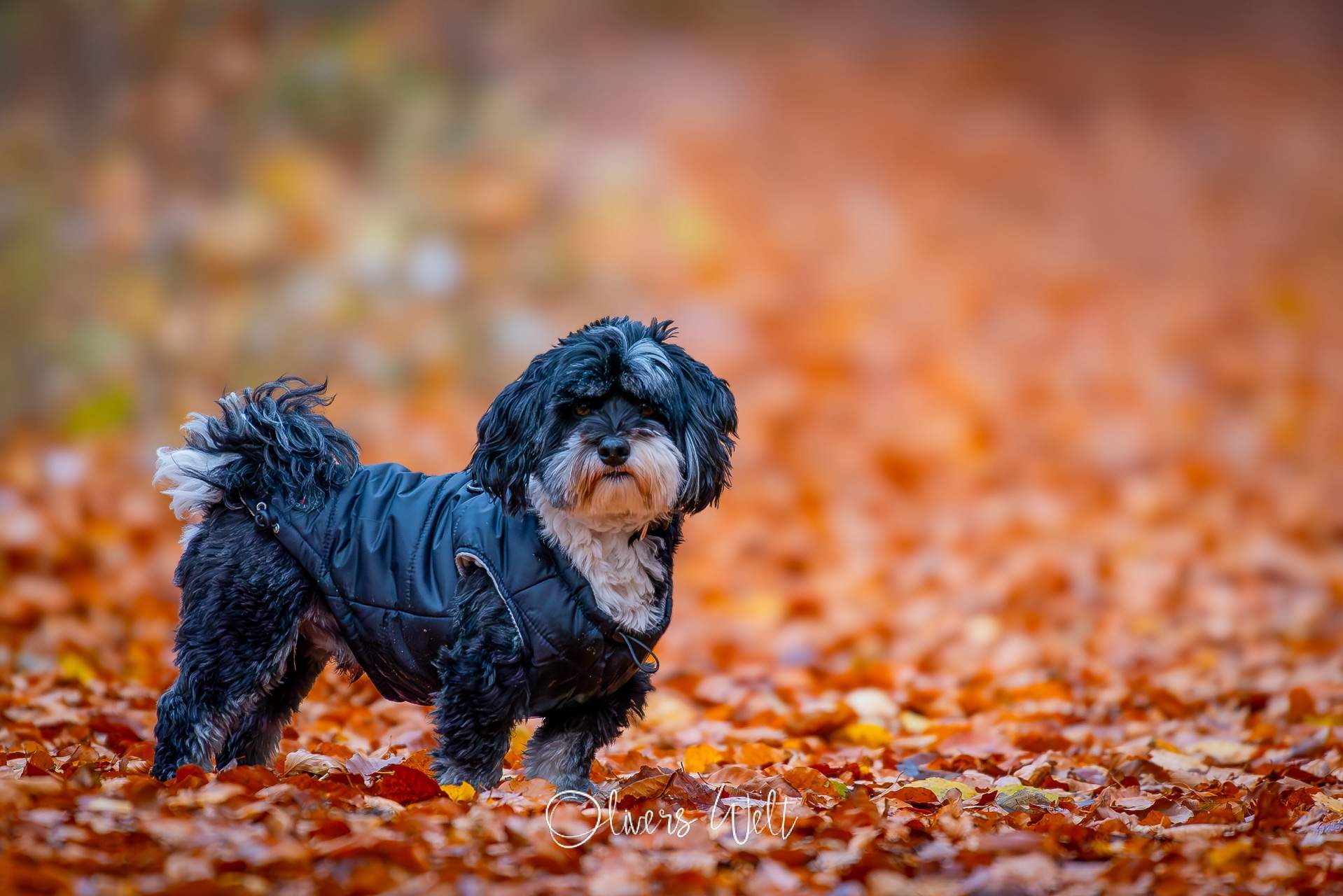Bild ohne Beschreibung Bild ohne Beschreibung