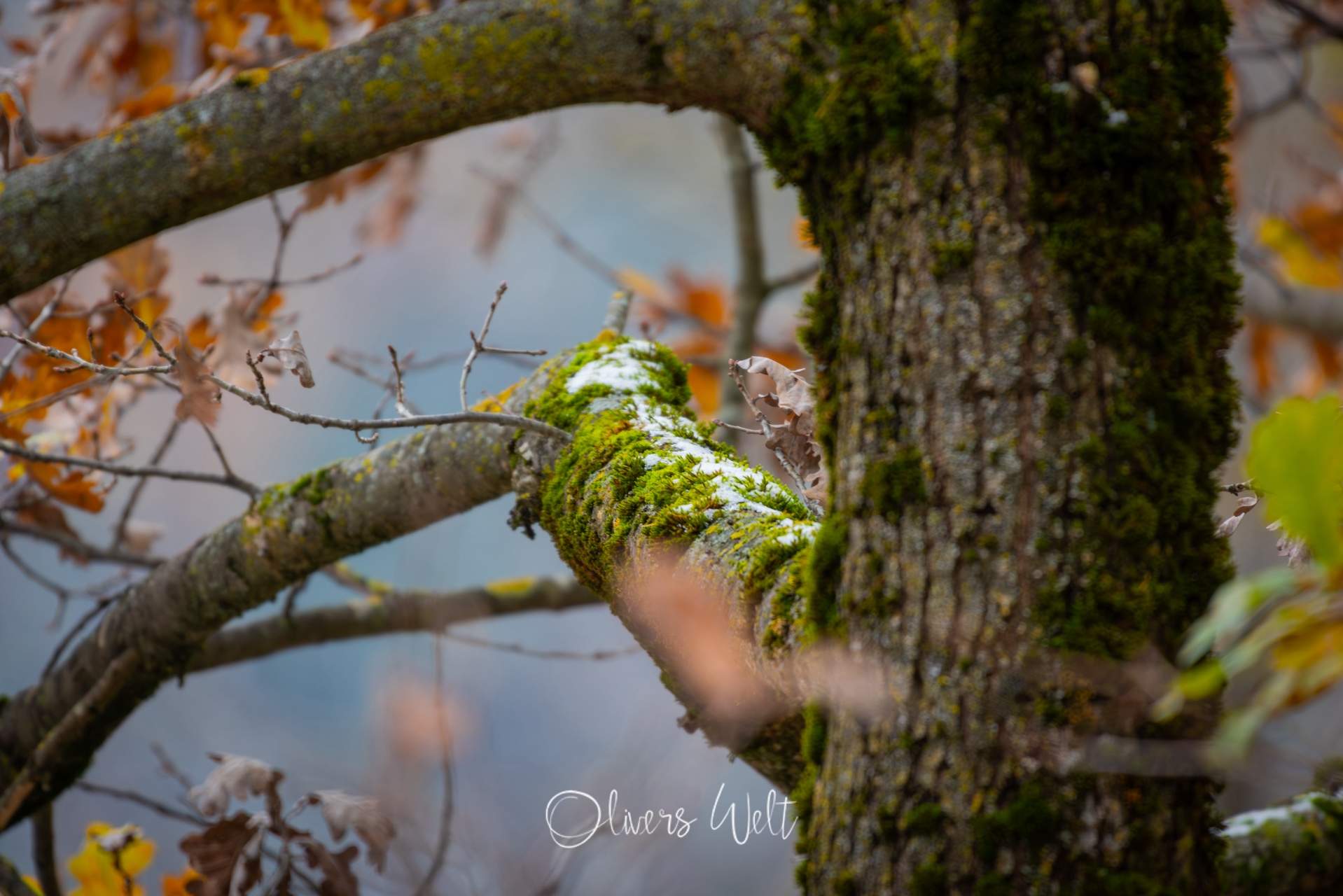 Bild ohne Beschreibung Bild ohne Beschreibung
