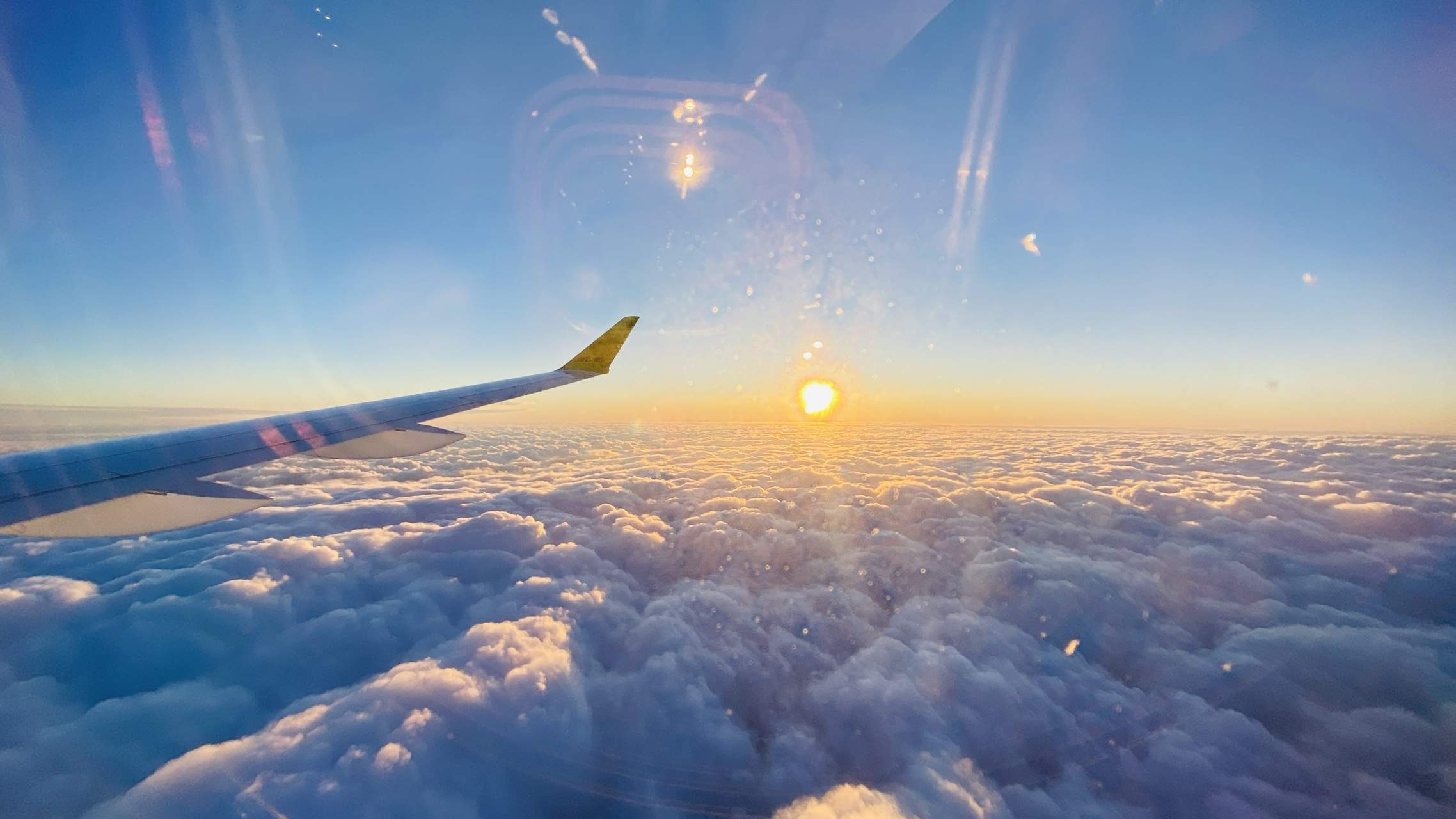 Bild ohne Beschreibung Bild ohne Beschreibung