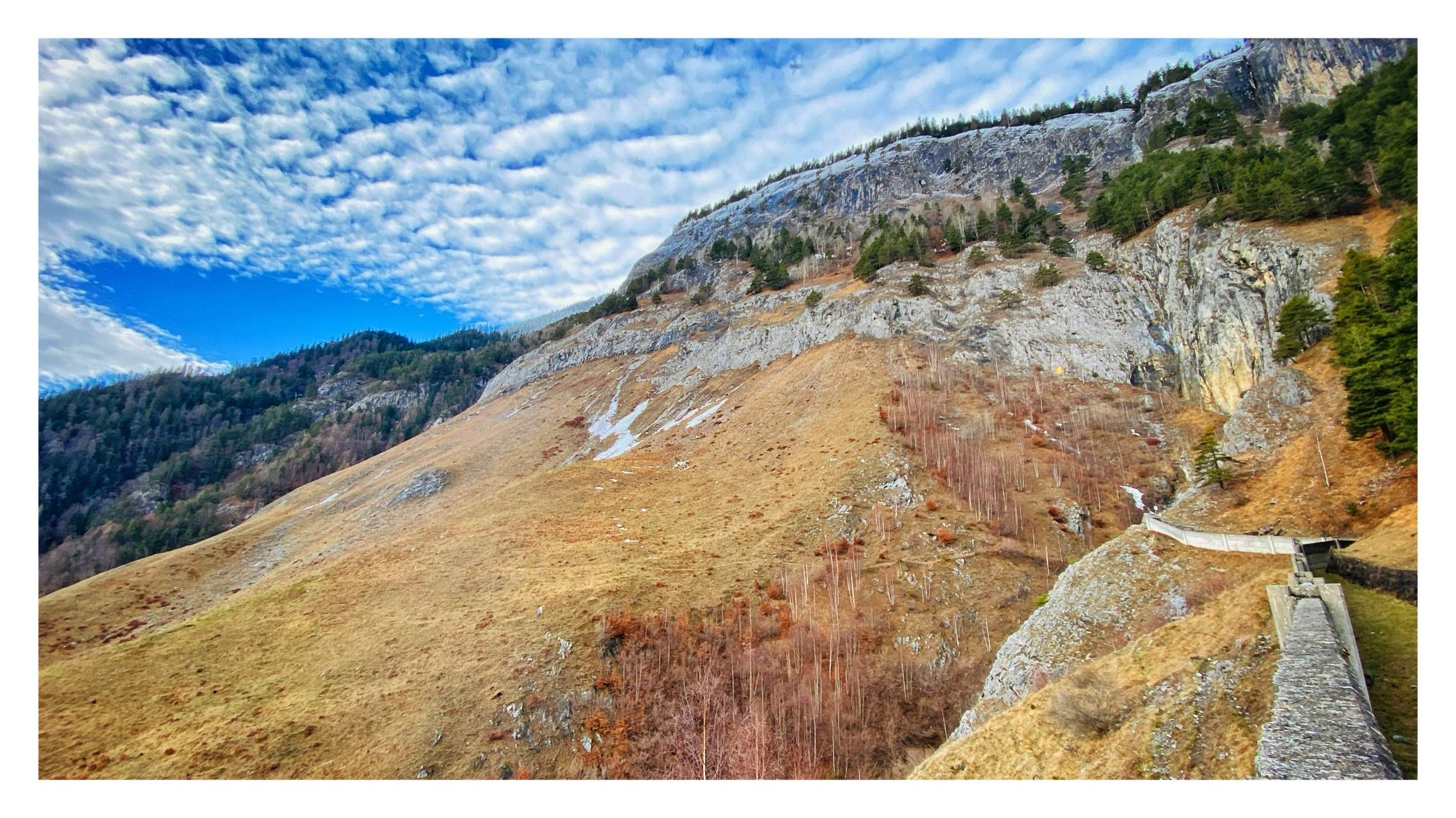 Bild ohne Beschreibung