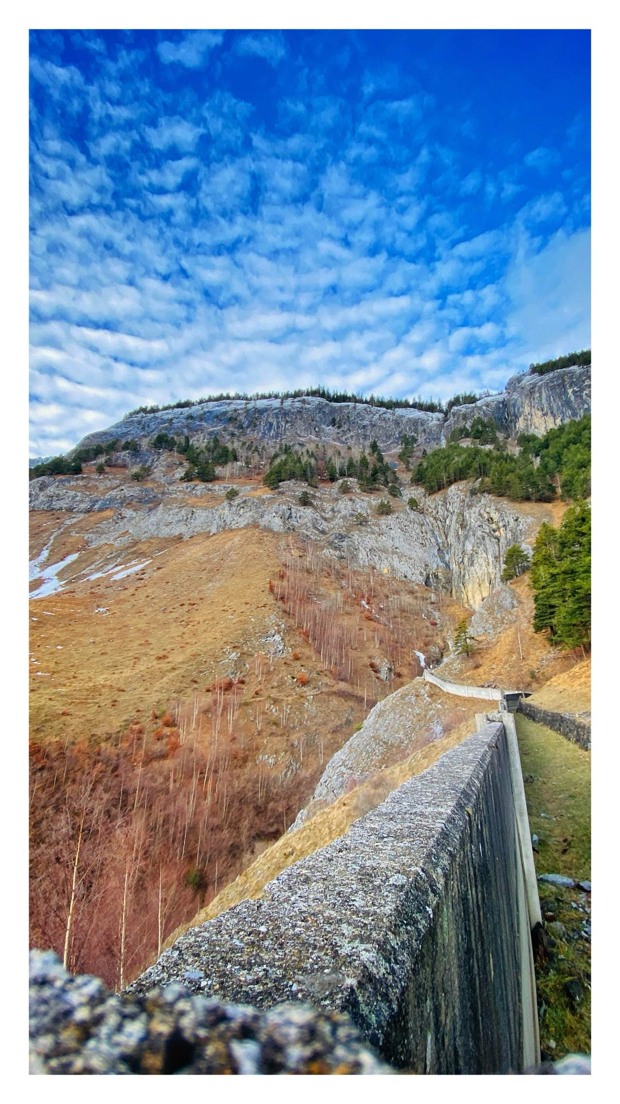 Bild ohne Beschreibung