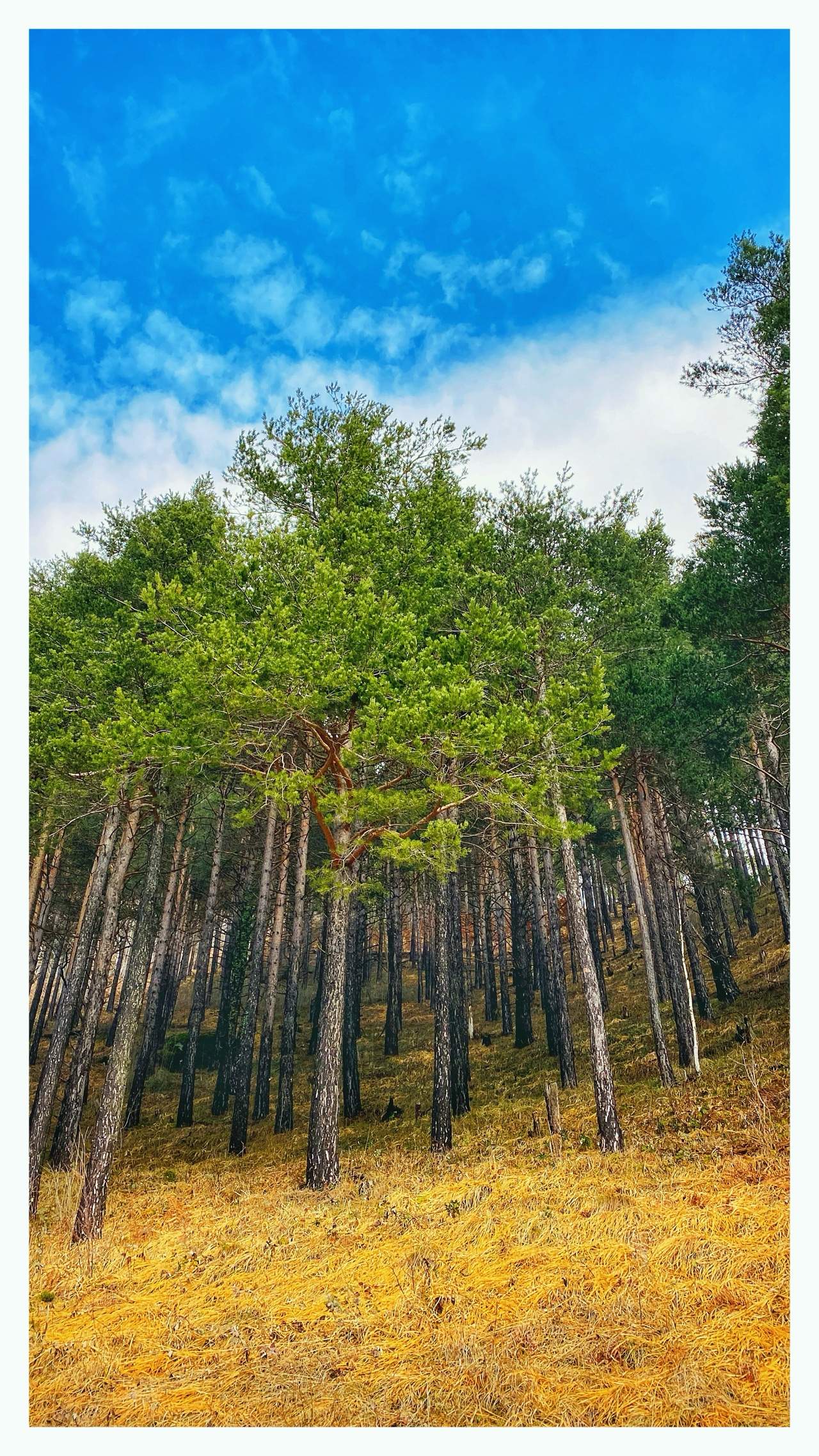 Bild ohne Beschreibung