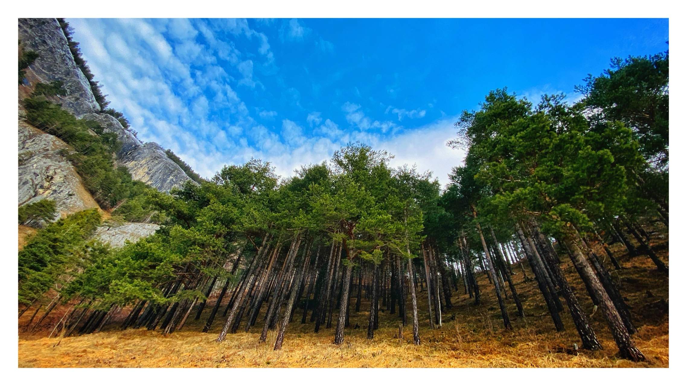 Bild ohne Beschreibung