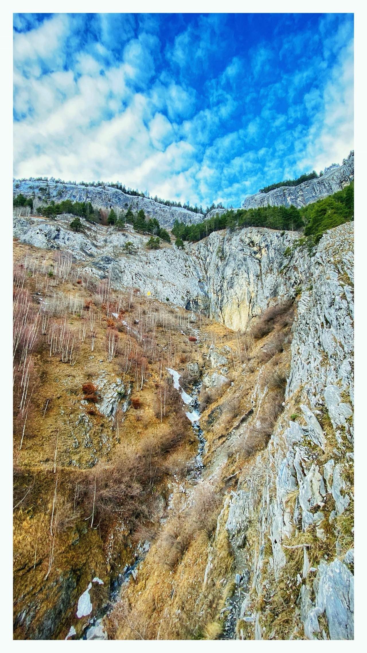 Bild ohne Beschreibung