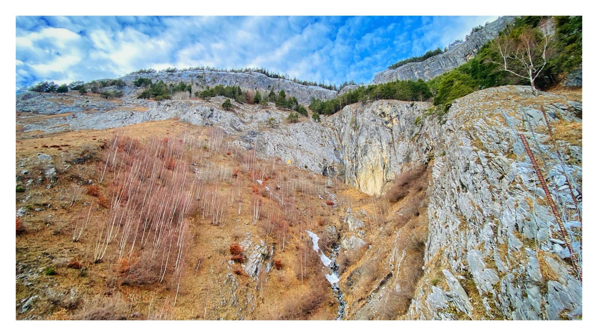 Bild ohne Beschreibung