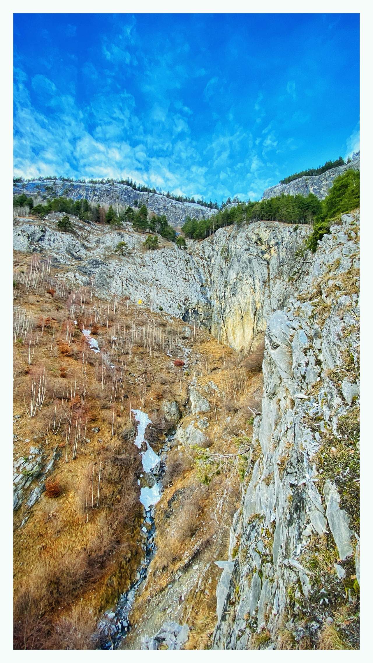 Bild ohne Beschreibung