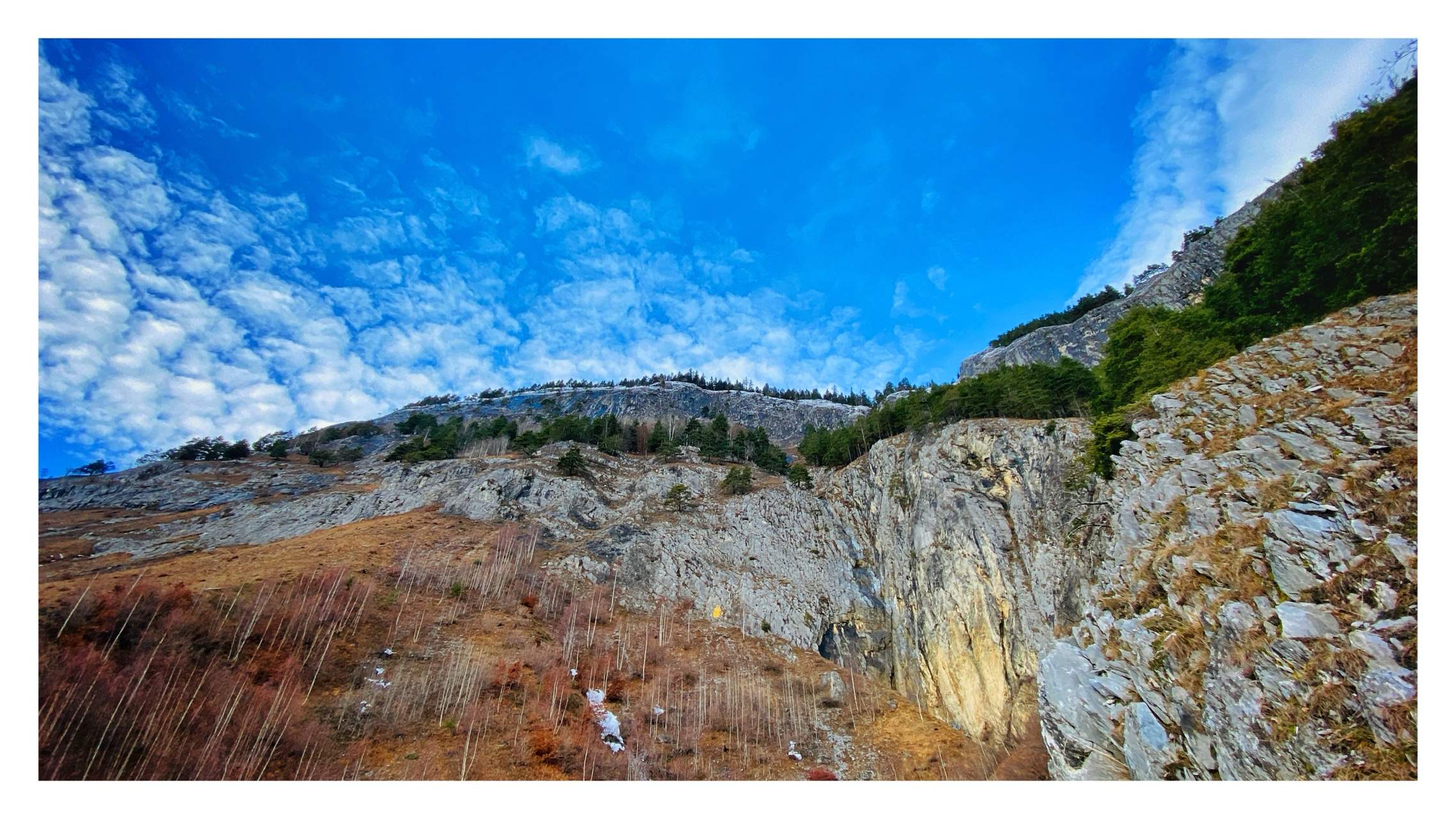 Bild ohne Beschreibung