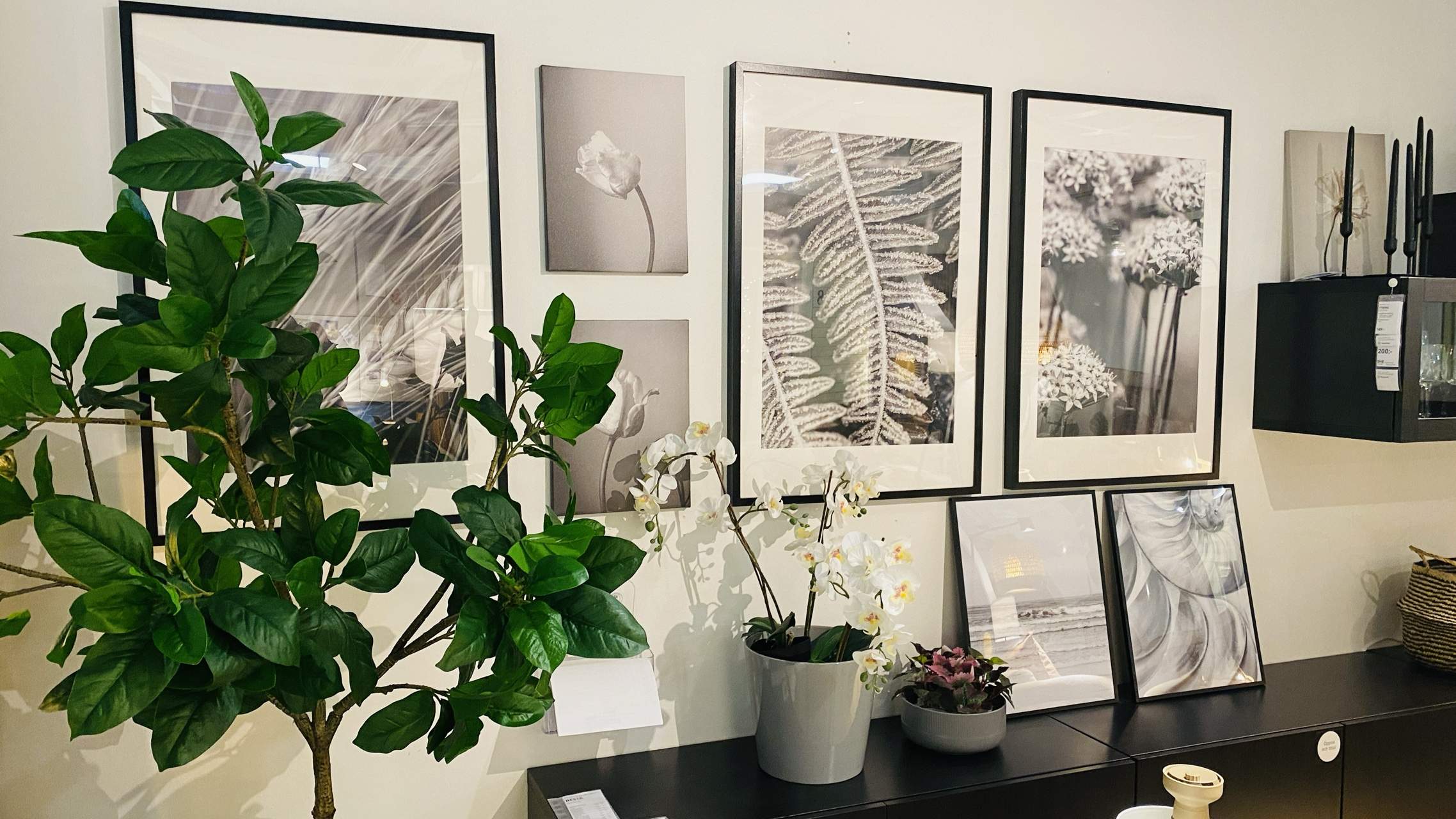 Bild ohne Beschreibung Bild ohne Beschreibung