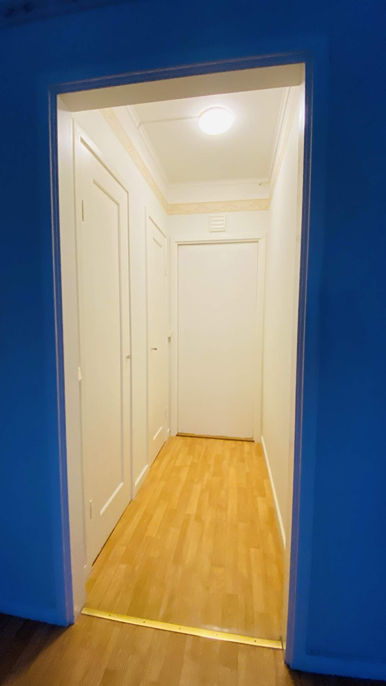 Bild ohne Beschreibung