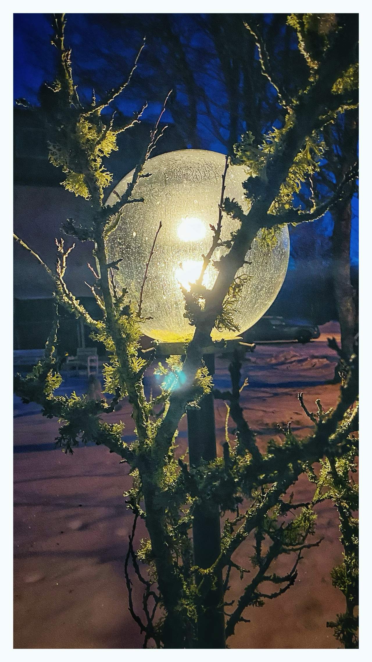 Bild ohne Beschreibung Bild ohne Beschreibung