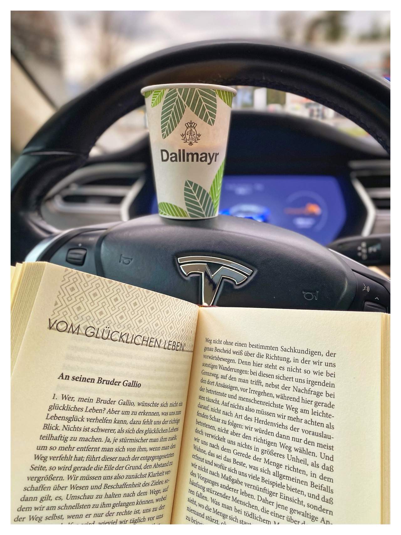 Bild ohne Beschreibung