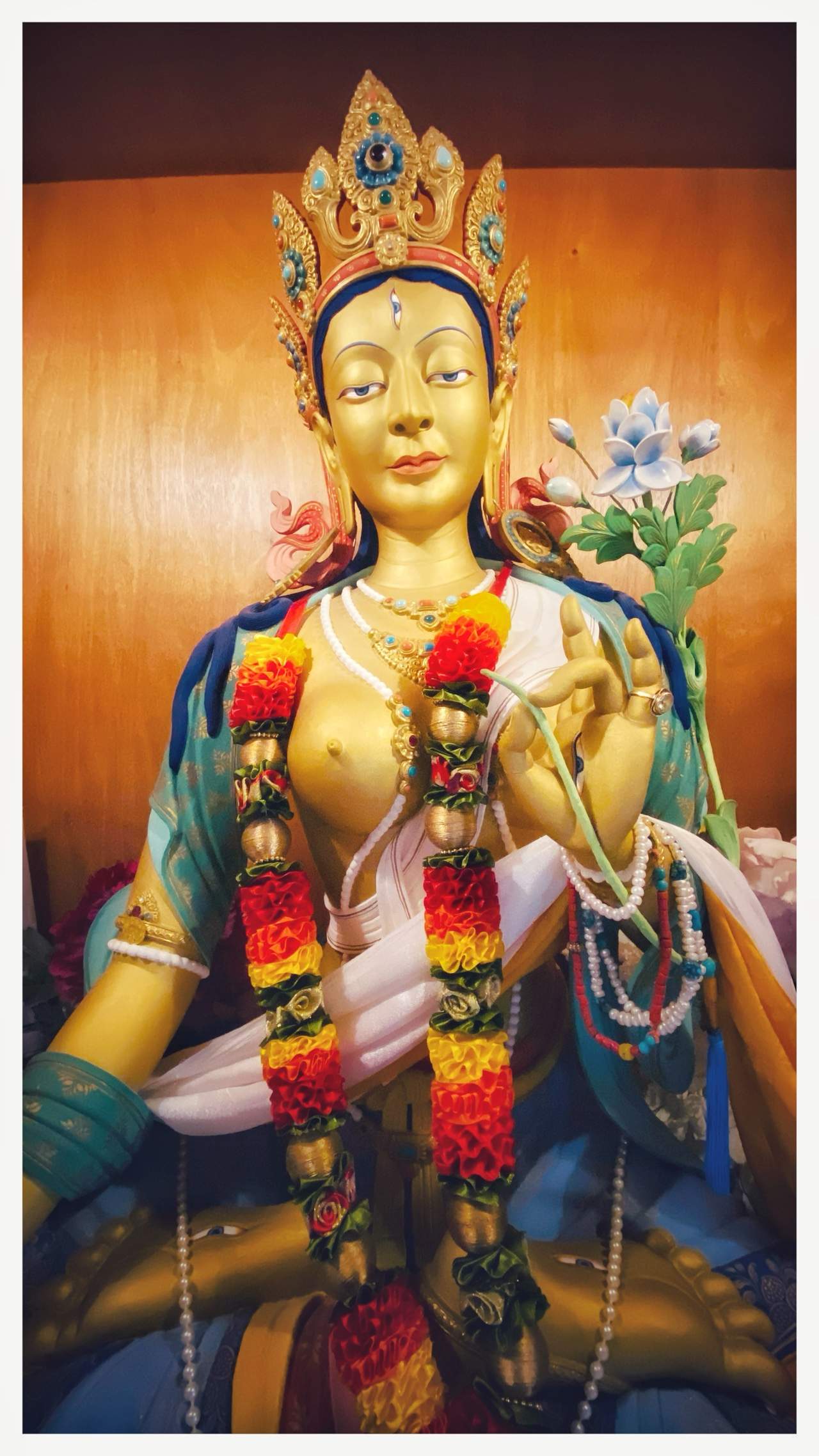 Bild ohne Beschreibung