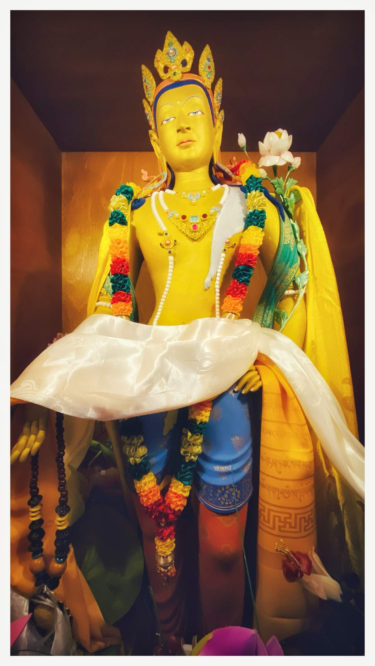 Bild ohne Beschreibung