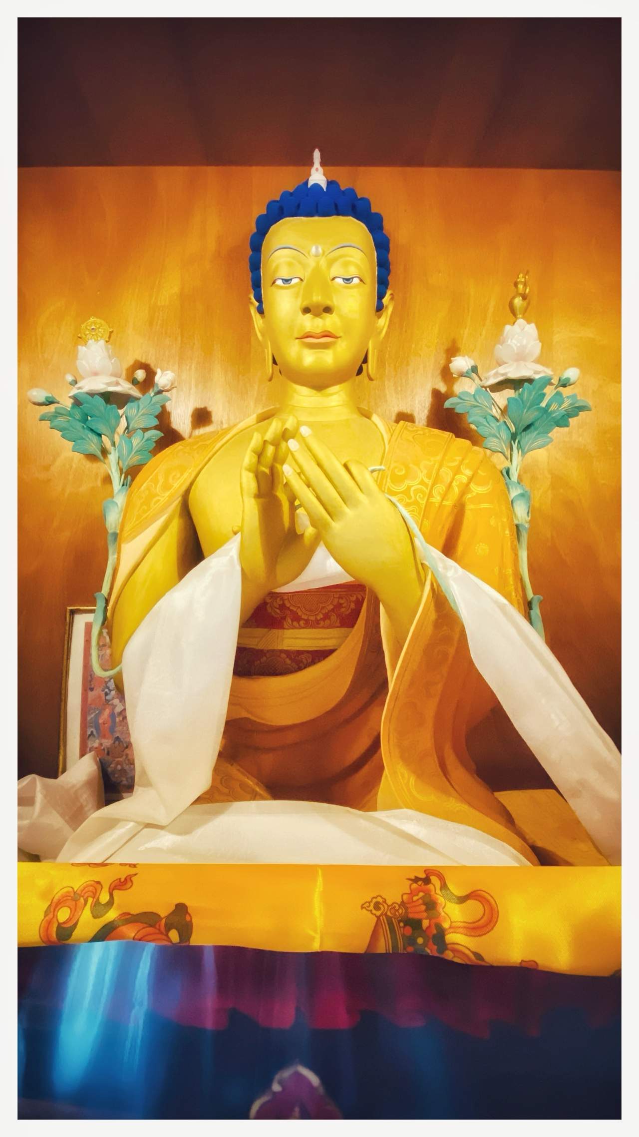 Bild ohne Beschreibung