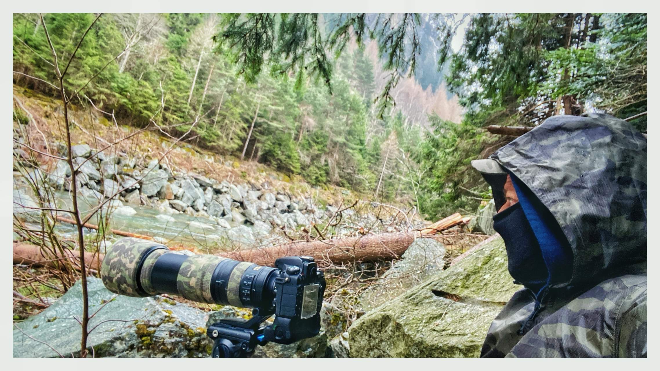 Bild ohne Beschreibung