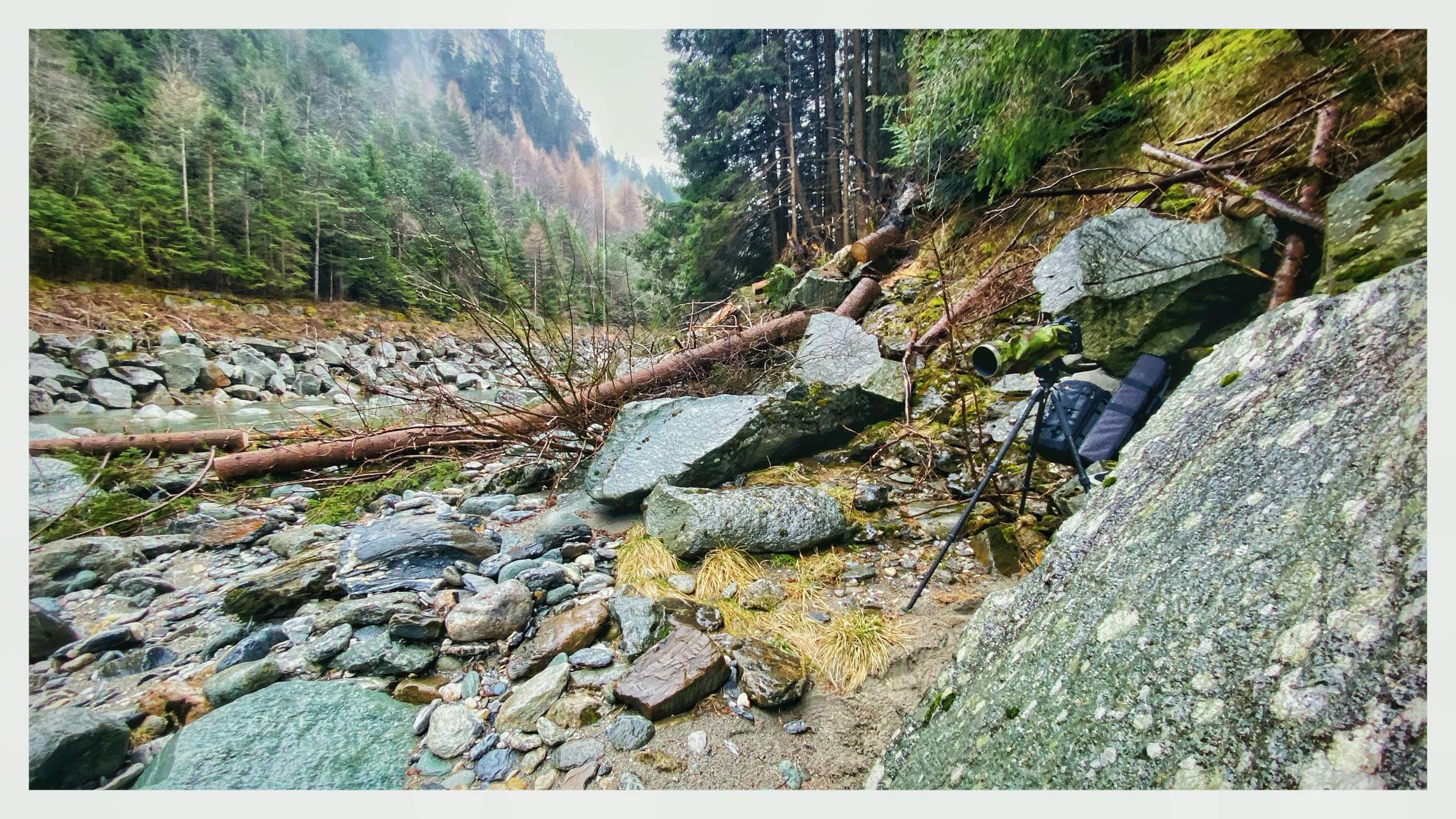 Bild ohne Beschreibung