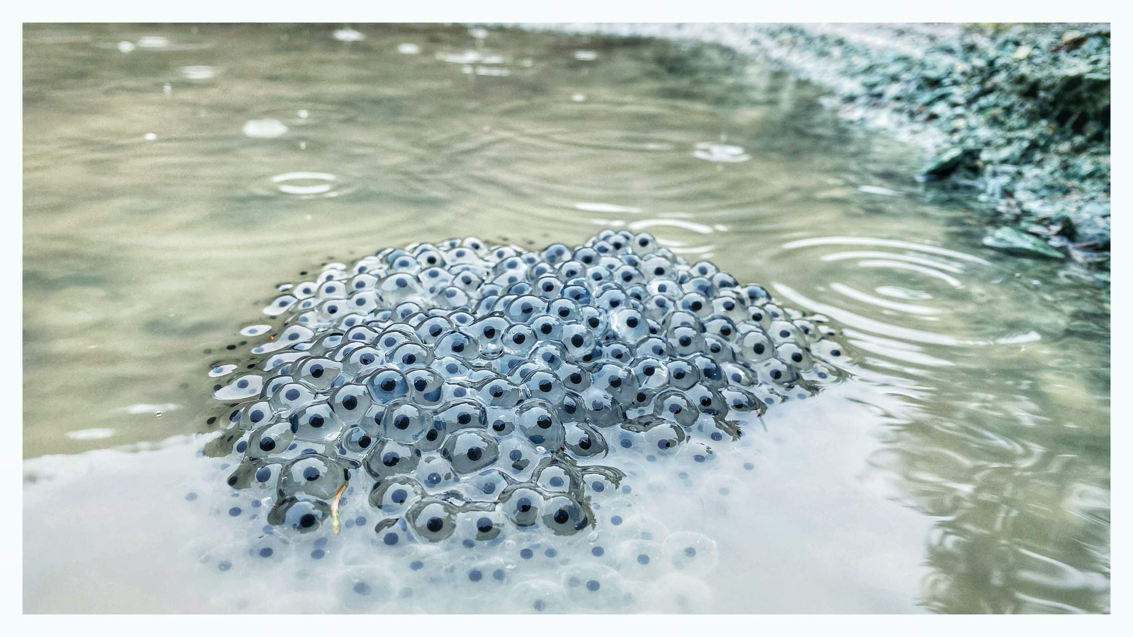 Bild ohne Beschreibung