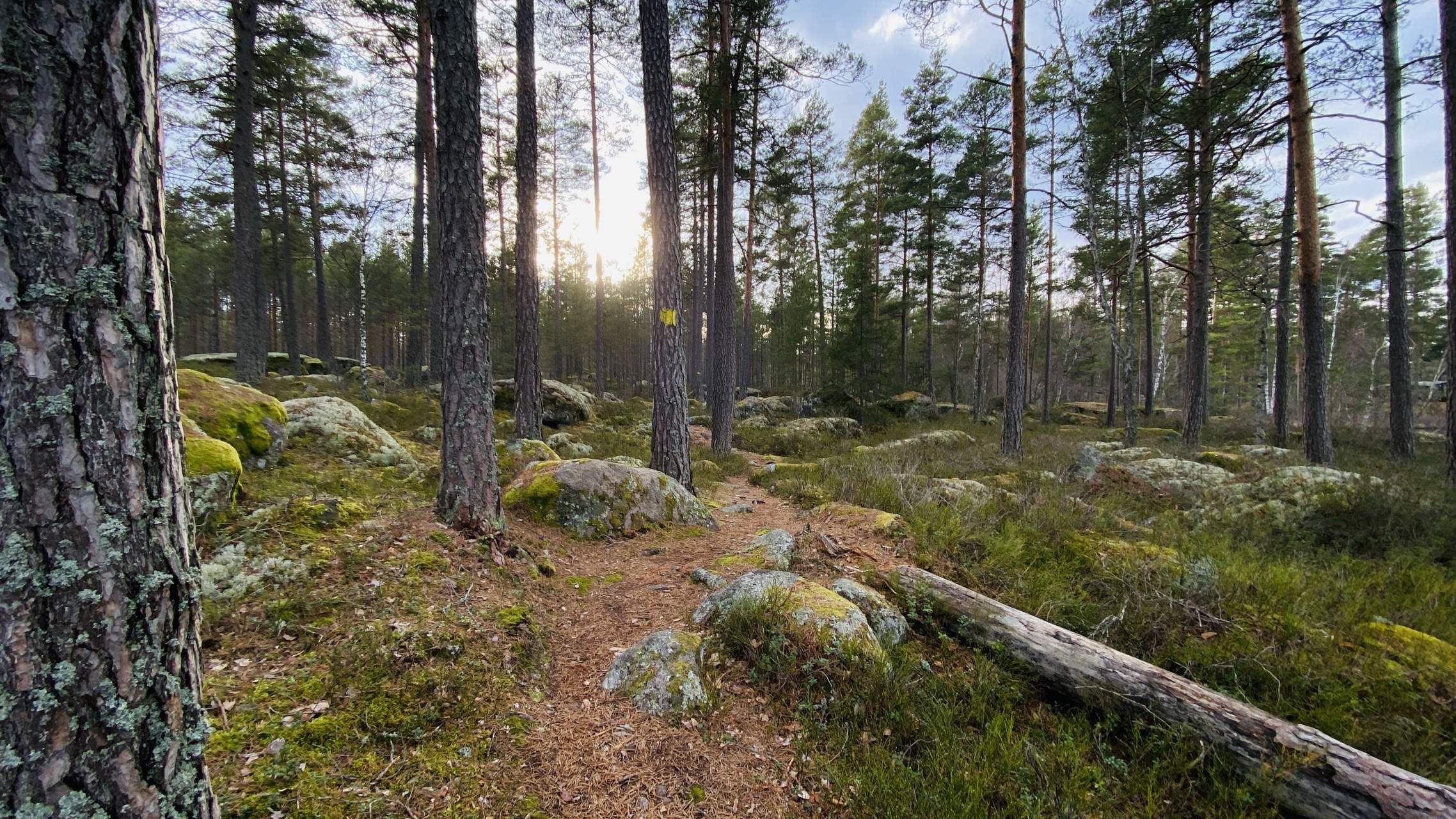 Bild ohne Beschreibung Bild ohne Beschreibung