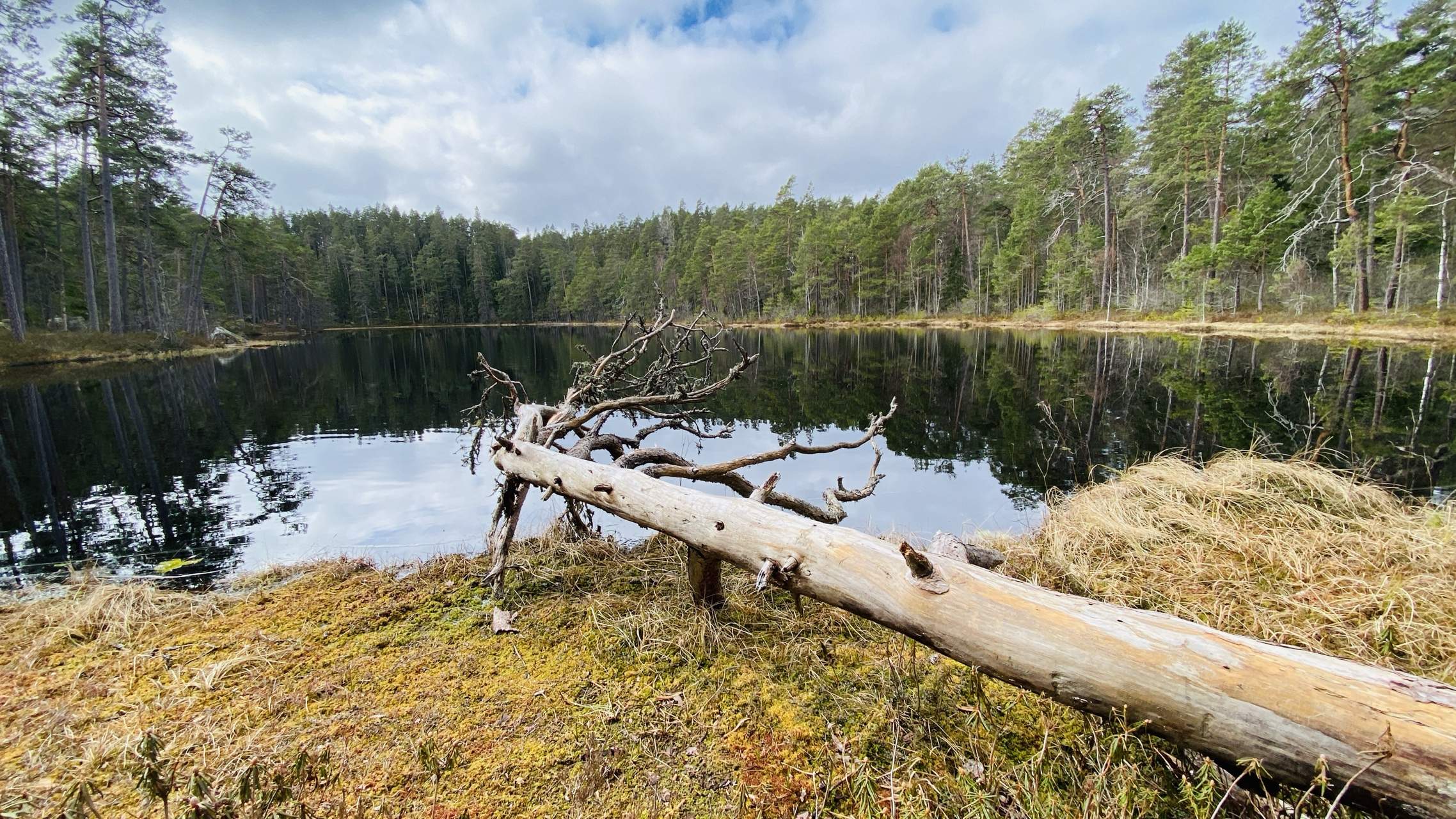 Bild ohne Beschreibung Bild ohne Beschreibung