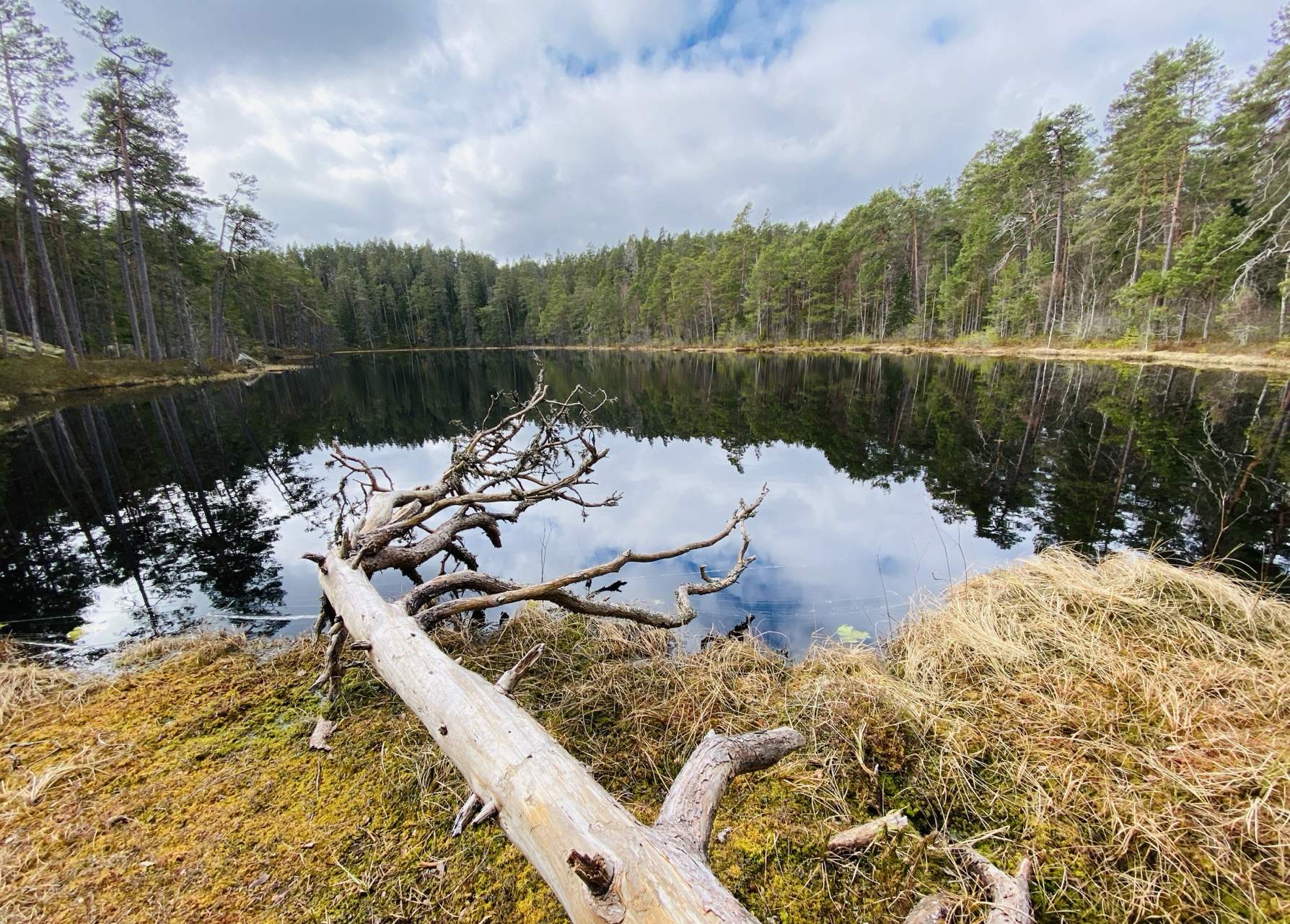 Bild ohne Beschreibung Bild ohne Beschreibung