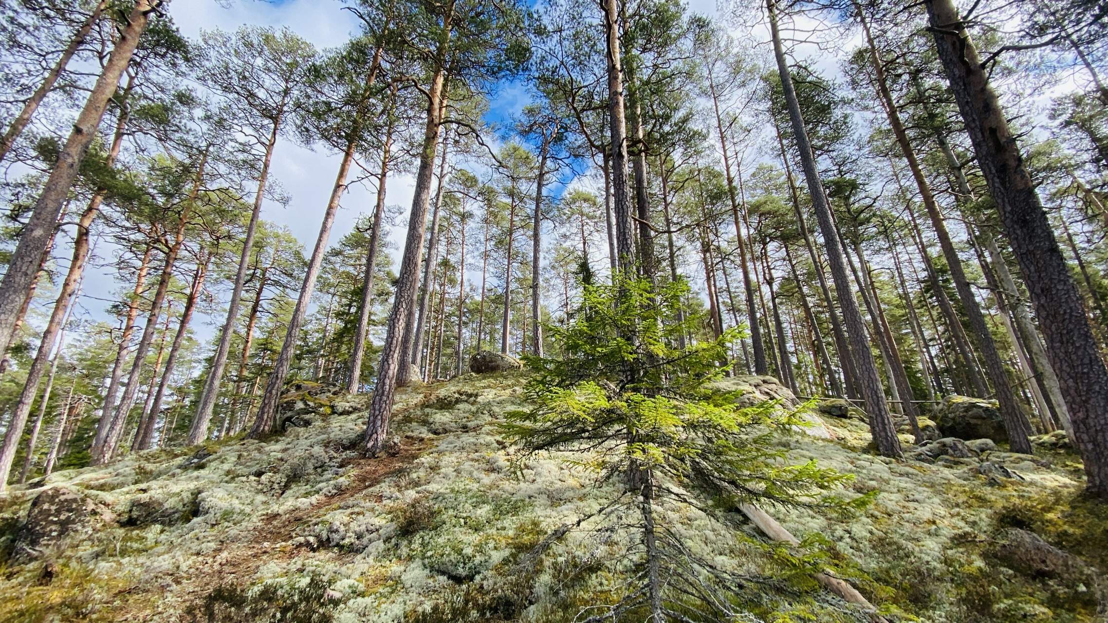 Bild ohne Beschreibung Bild ohne Beschreibung