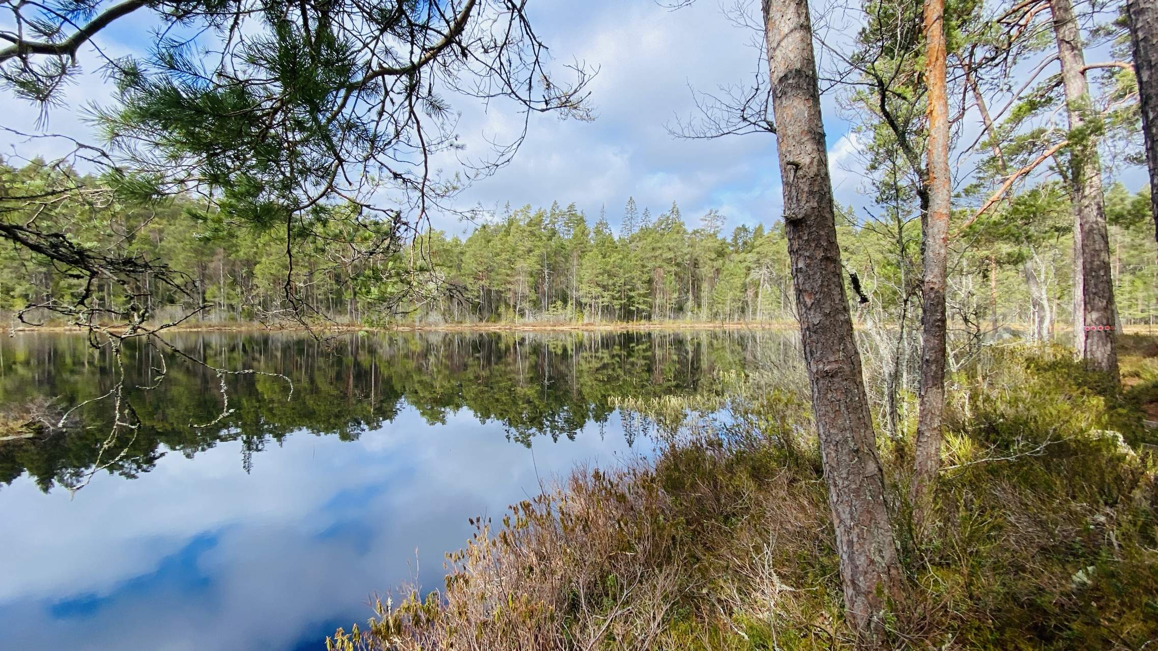 Bild ohne Beschreibung Bild ohne Beschreibung