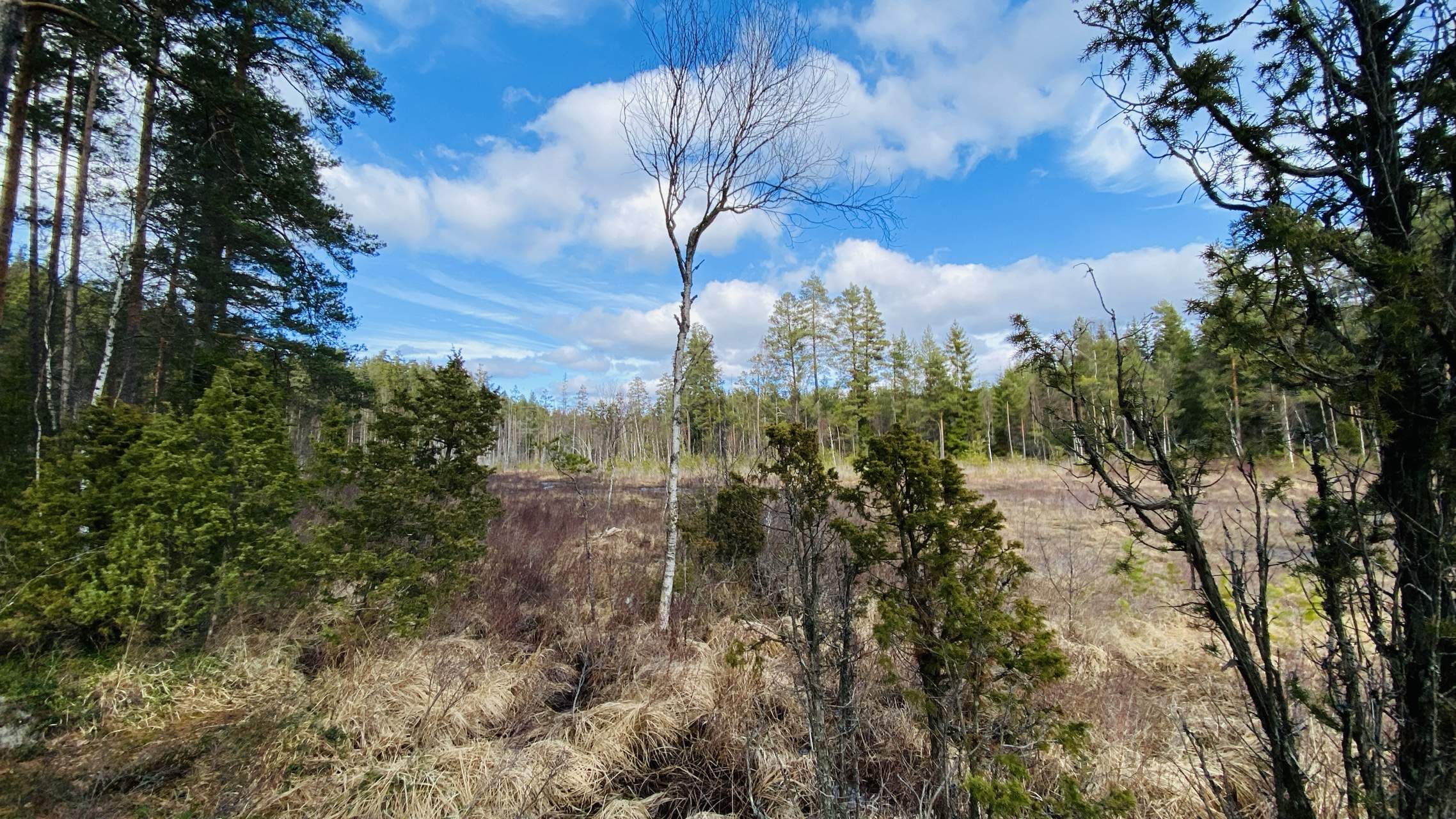 Bild ohne Beschreibung Bild ohne Beschreibung