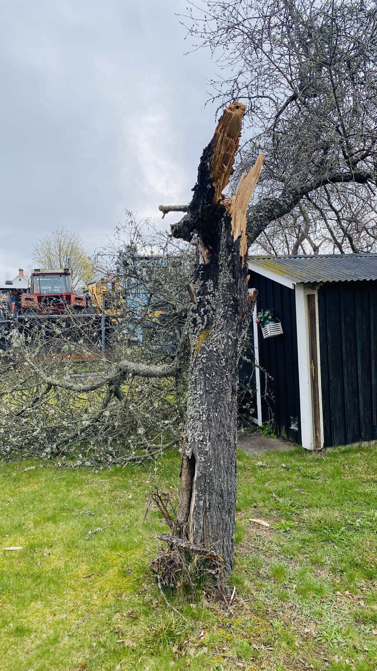 Bild ohne Beschreibung Bild ohne Beschreibung