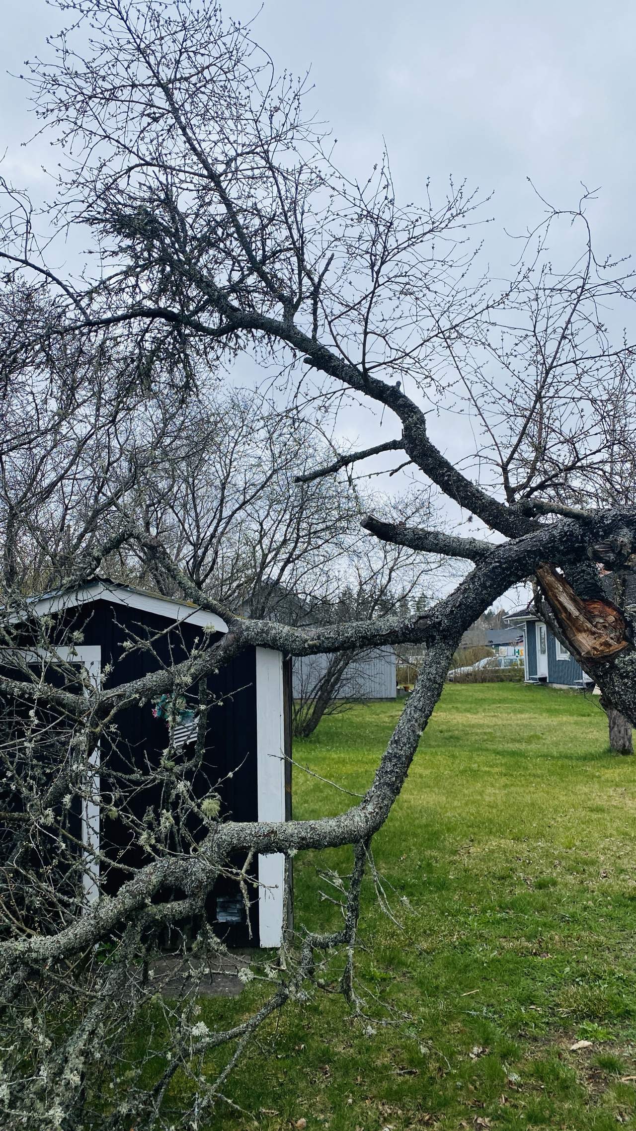 Bild ohne Beschreibung Bild ohne Beschreibung
