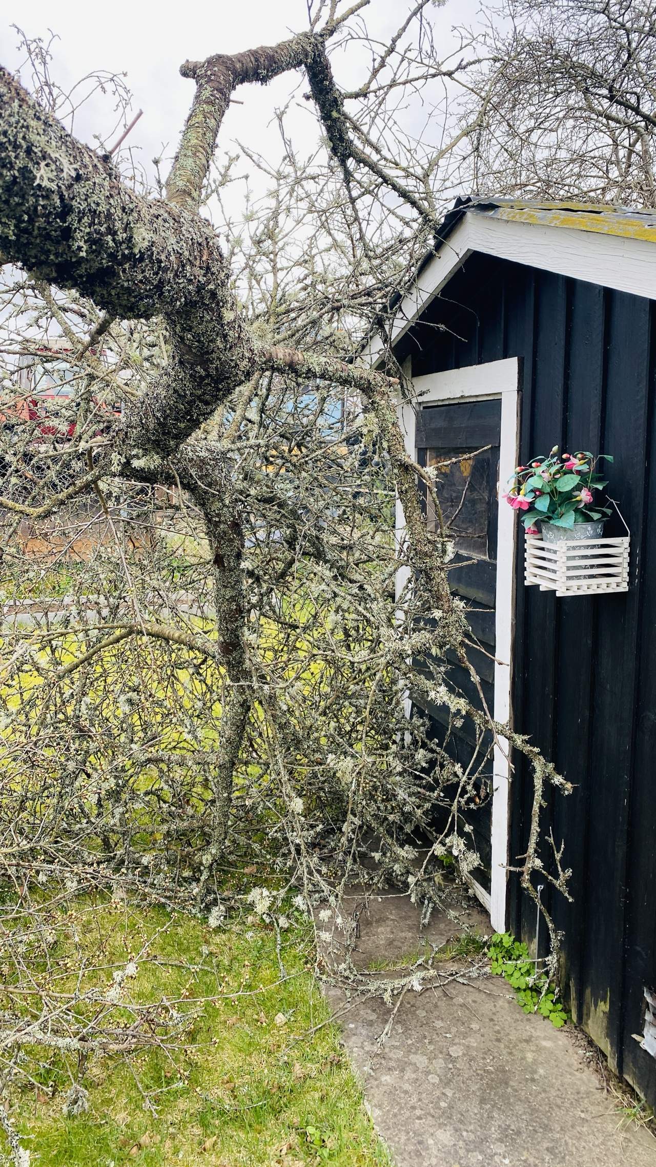 Bild ohne Beschreibung Bild ohne Beschreibung