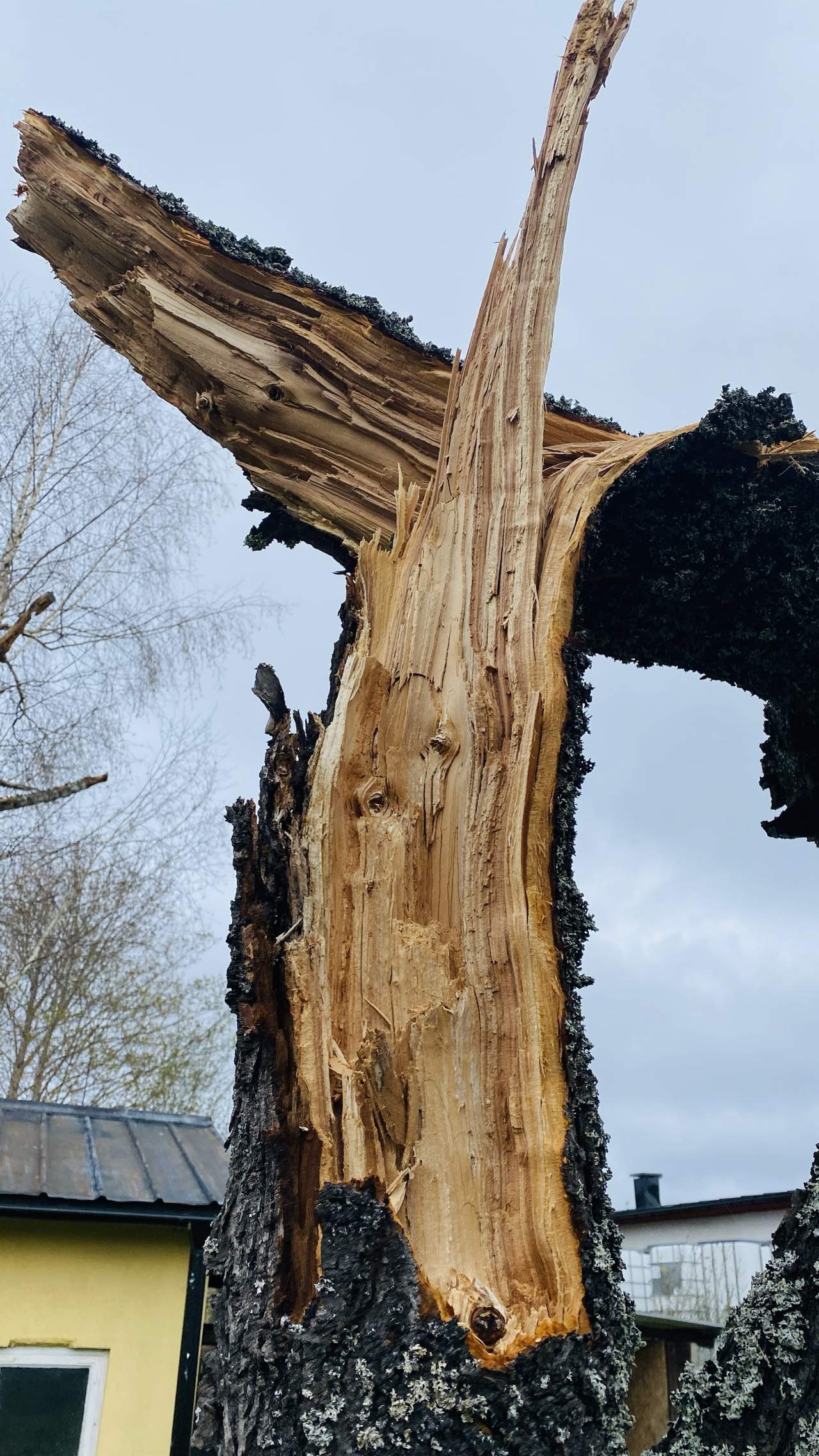 Bild ohne Beschreibung Bild ohne Beschreibung