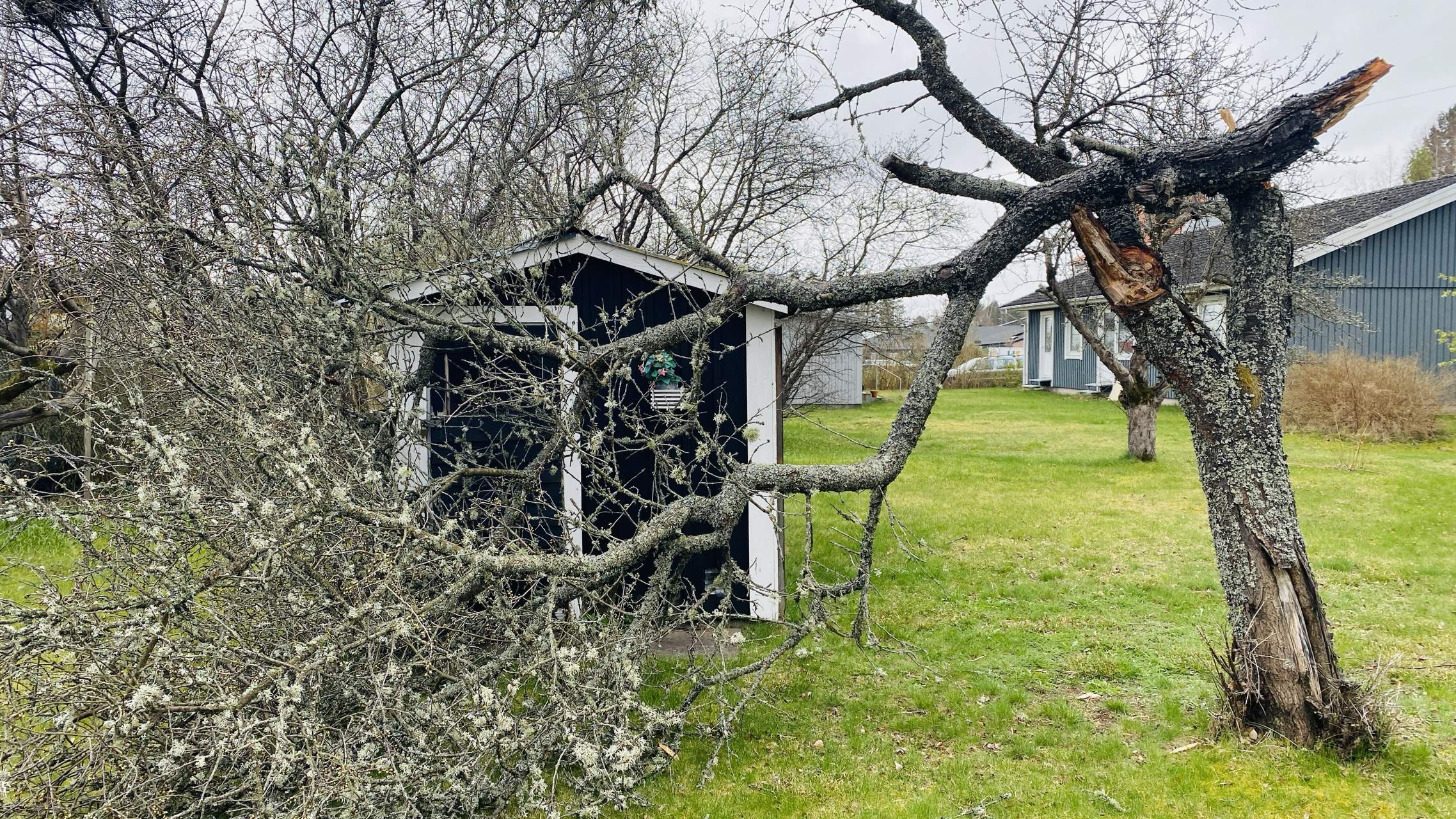 Bild ohne Beschreibung Bild ohne Beschreibung