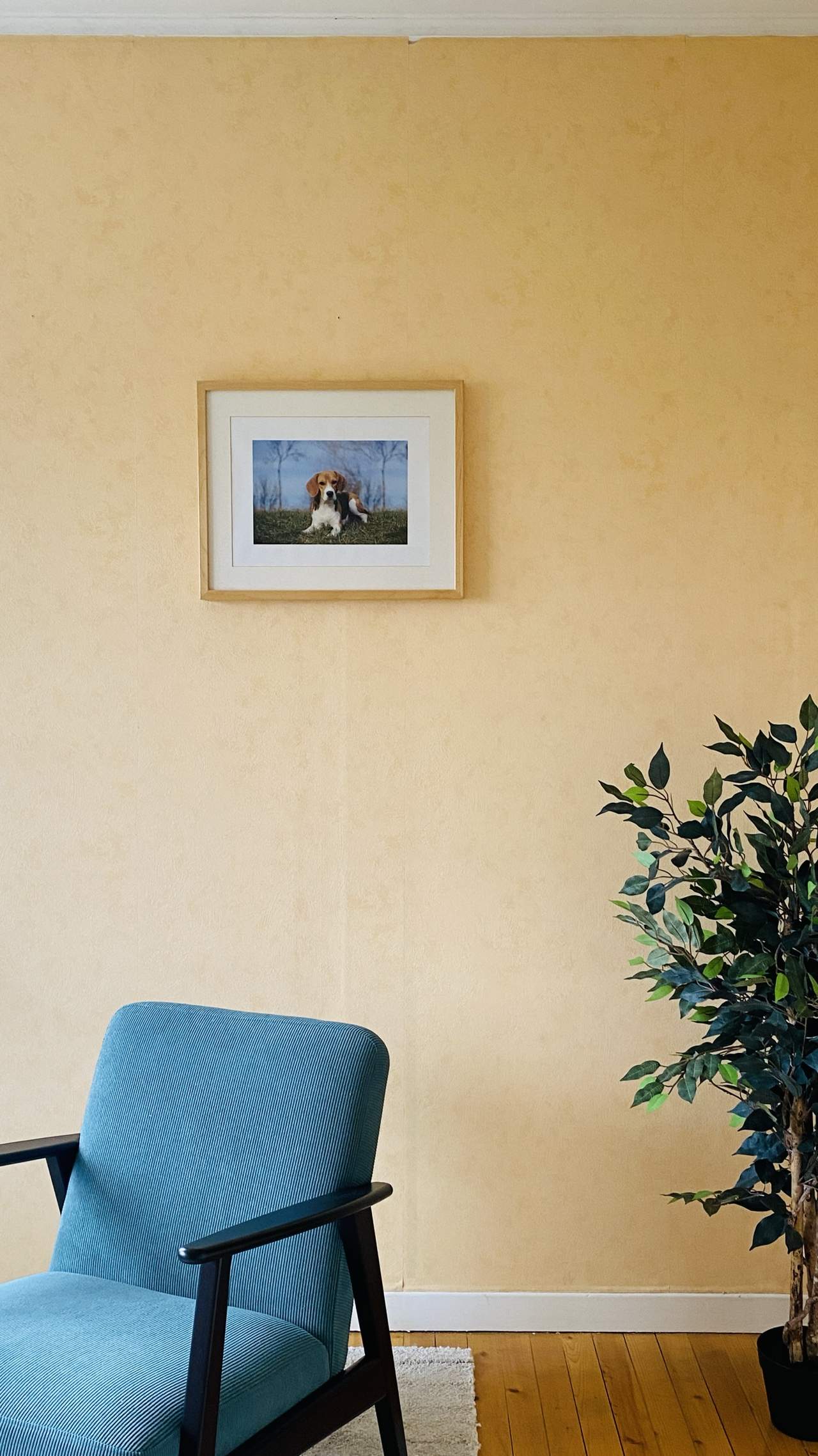 Bild ohne Beschreibung Bild ohne Beschreibung