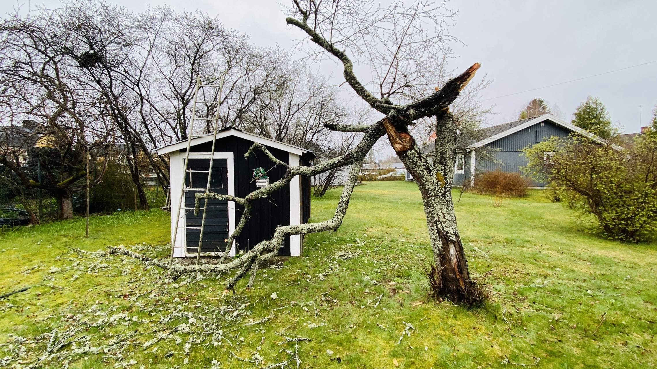 Bild ohne Beschreibung Bild ohne Beschreibung