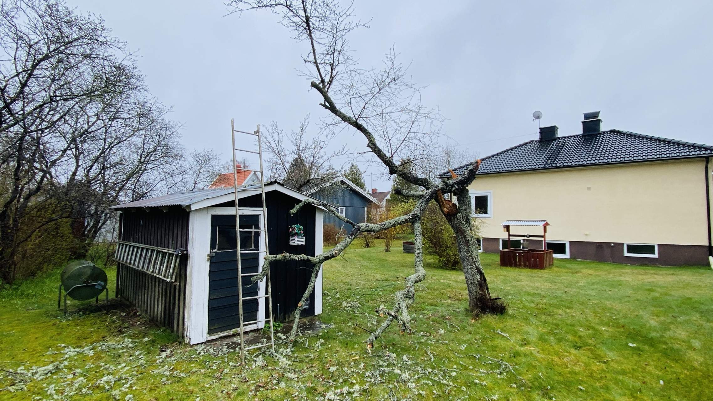 Bild ohne Beschreibung Bild ohne Beschreibung