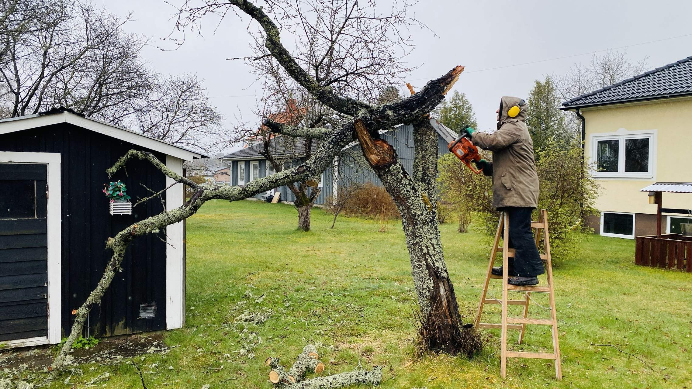 Bild ohne Beschreibung Bild ohne Beschreibung