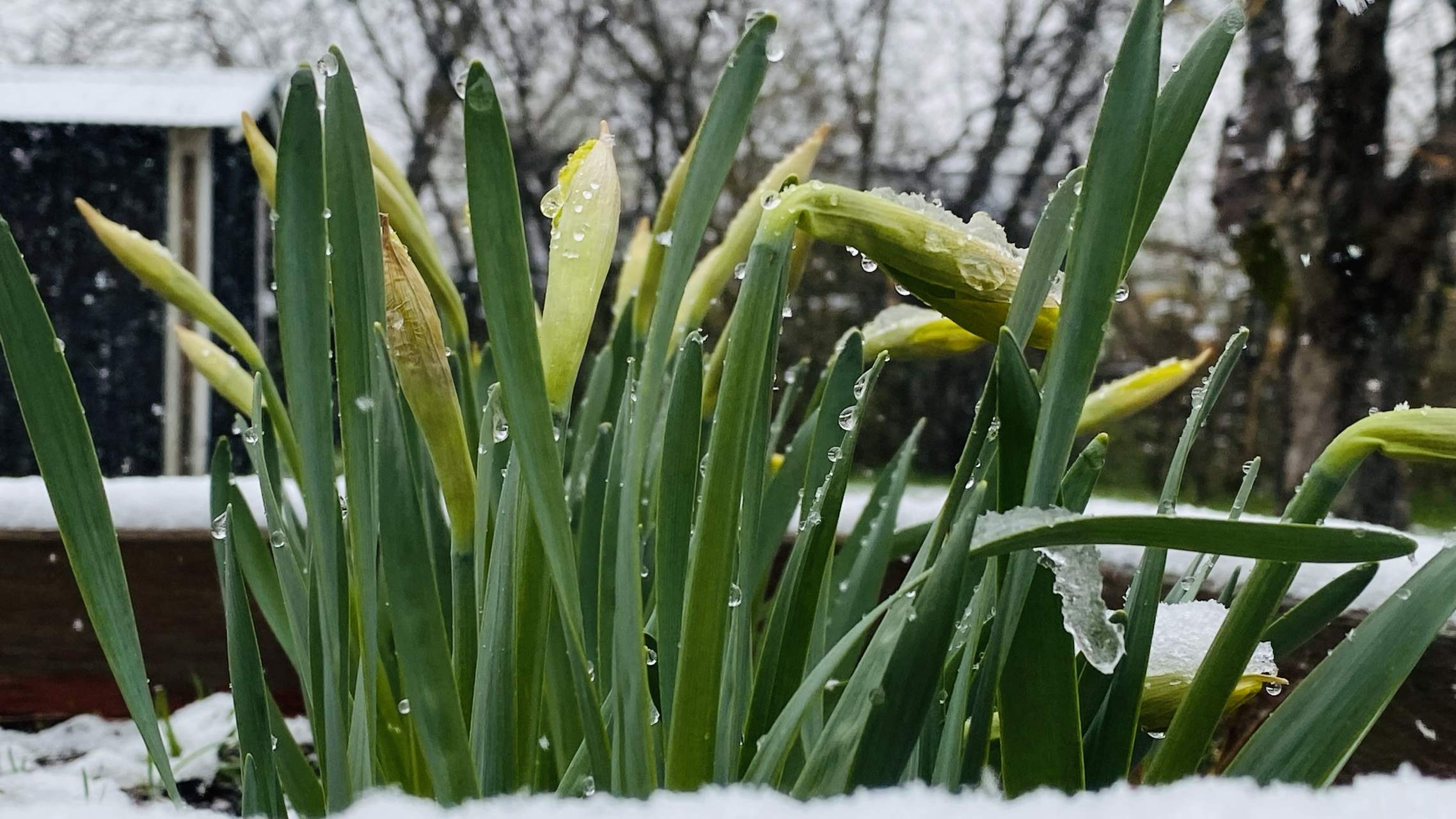 Bild ohne Beschreibung Bild ohne Beschreibung