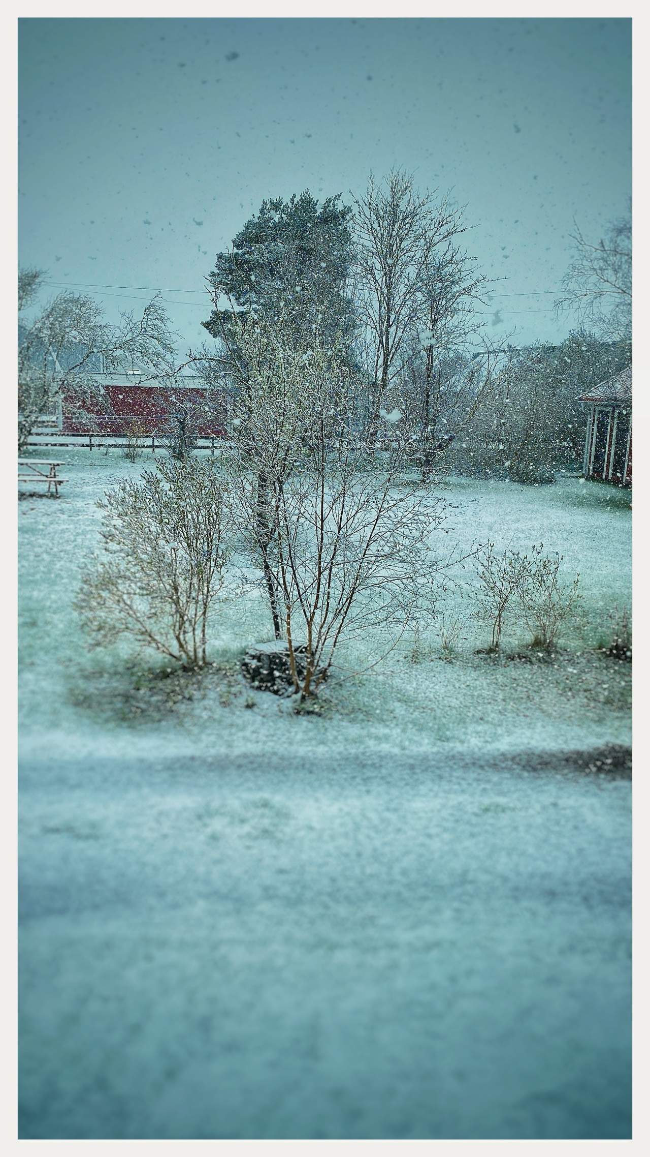 Bild ohne Beschreibung Bild ohne Beschreibung