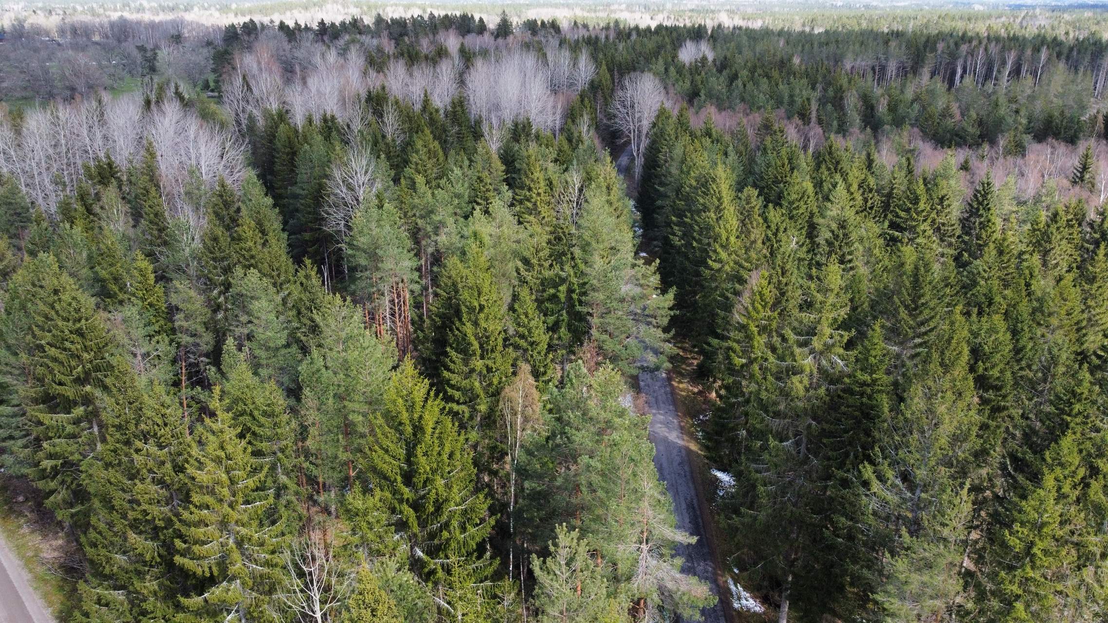 Bild ohne Beschreibung Bild ohne Beschreibung