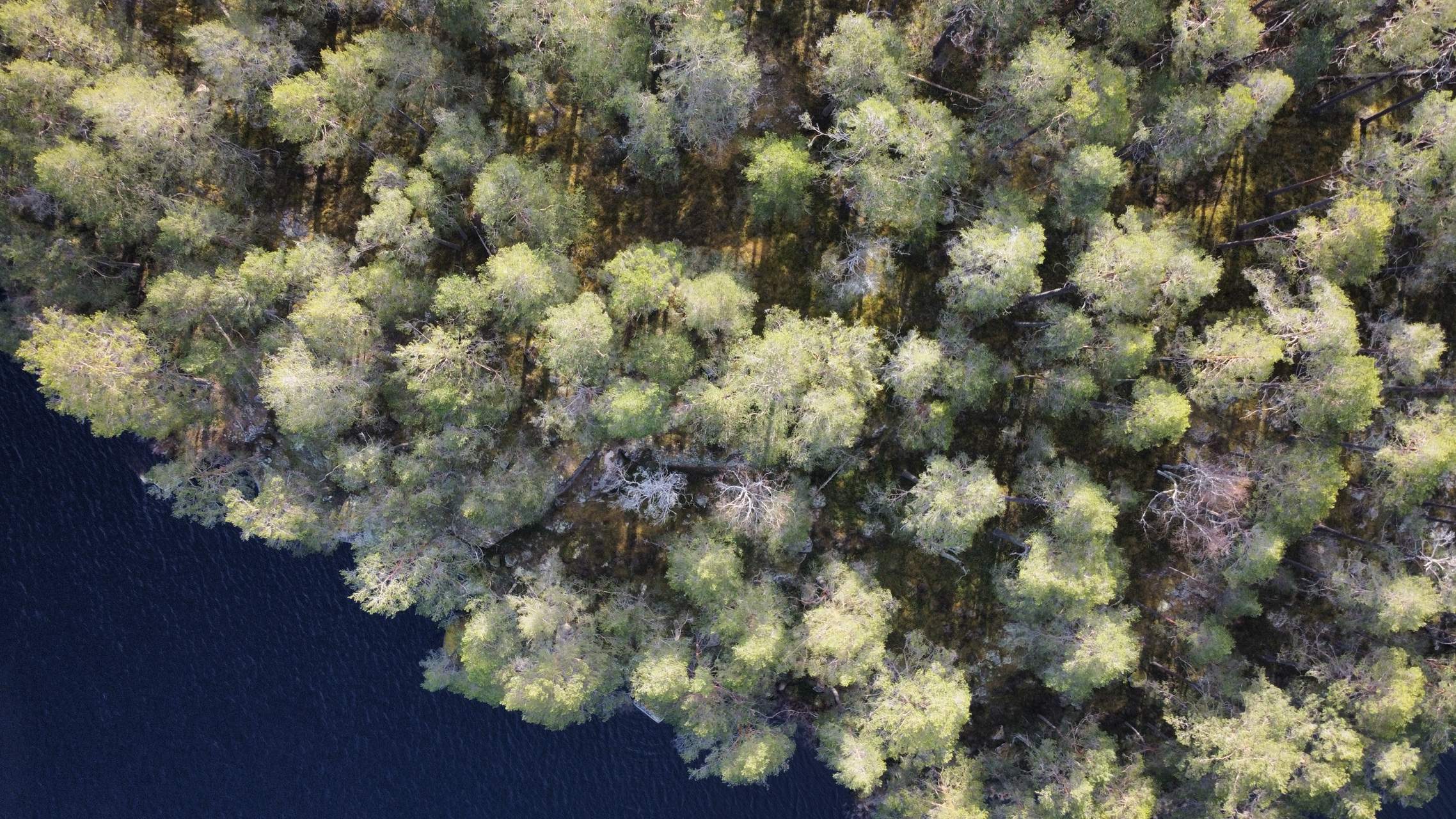 Bild ohne Beschreibung Bild ohne Beschreibung