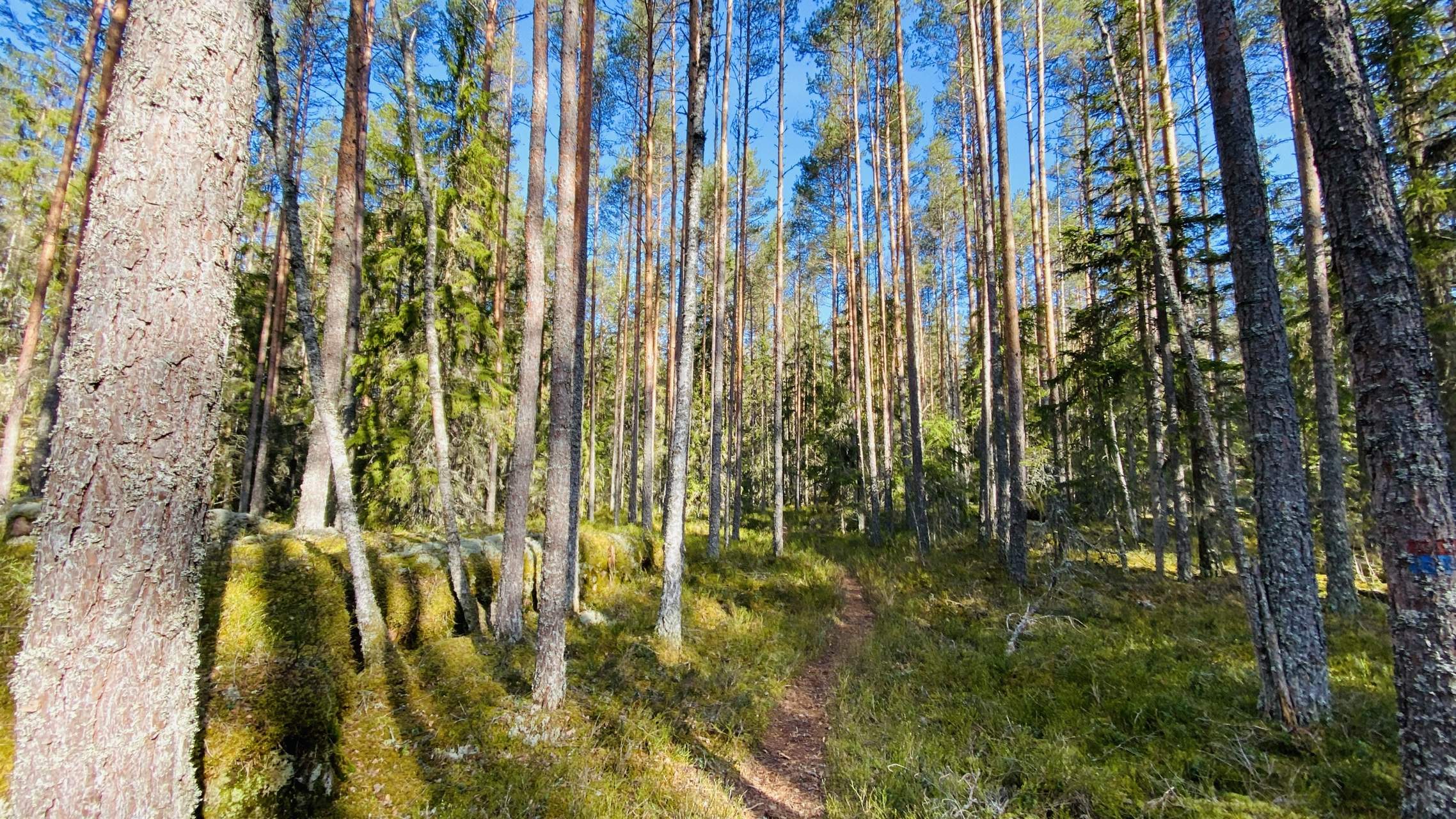 Bild ohne Beschreibung Bild ohne Beschreibung
