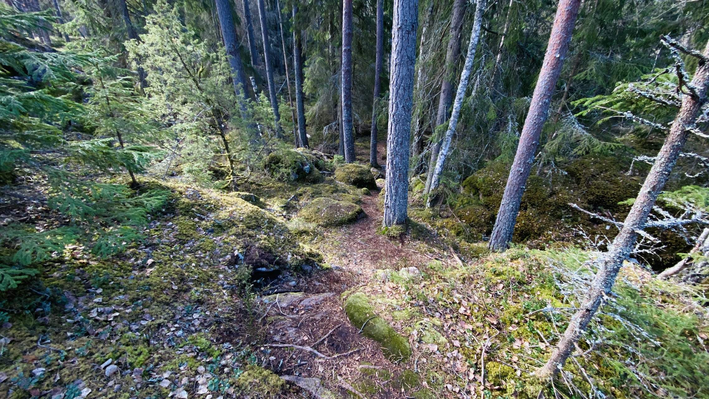 Bild ohne Beschreibung Bild ohne Beschreibung