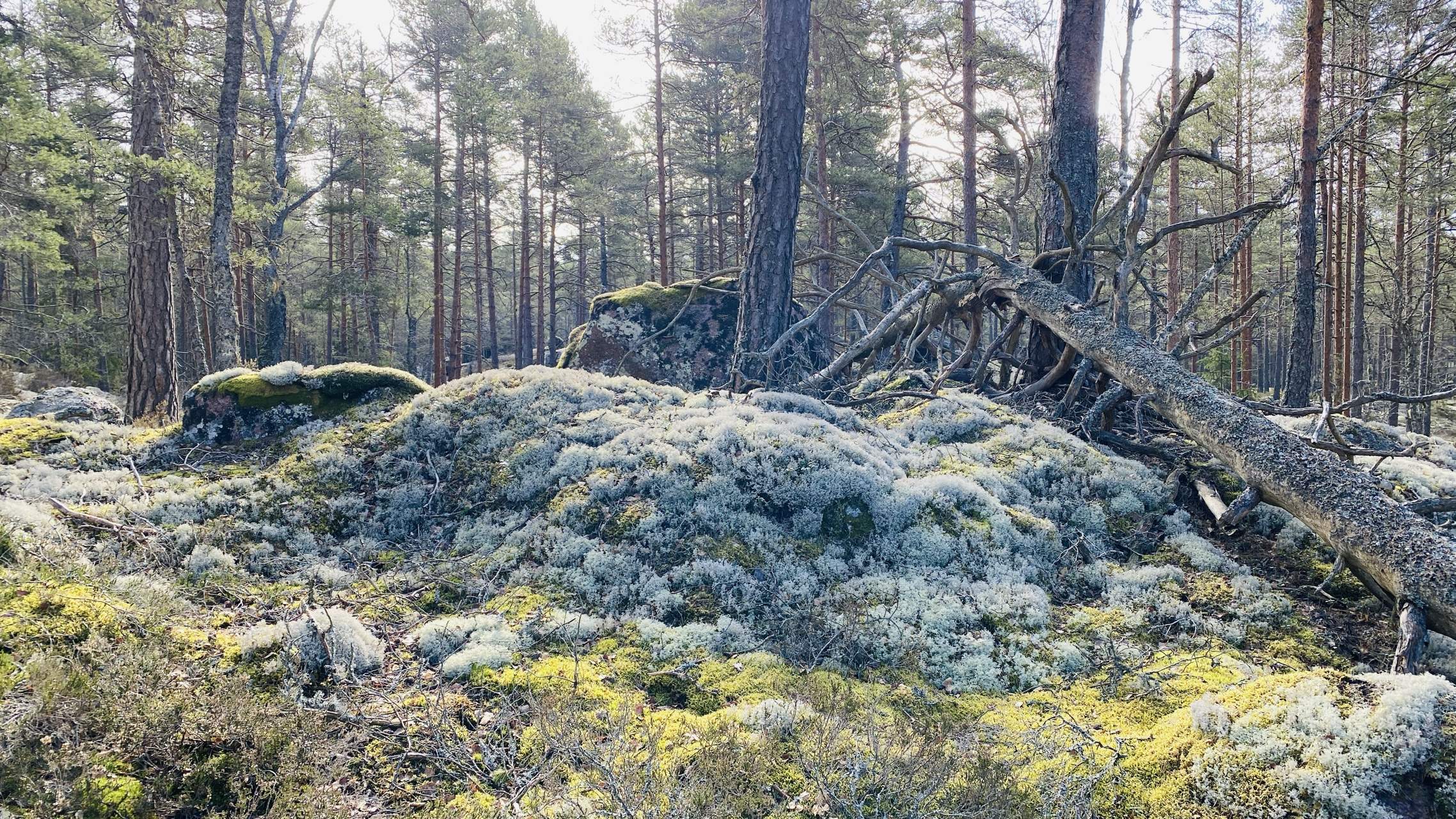 Bild ohne Beschreibung Bild ohne Beschreibung
