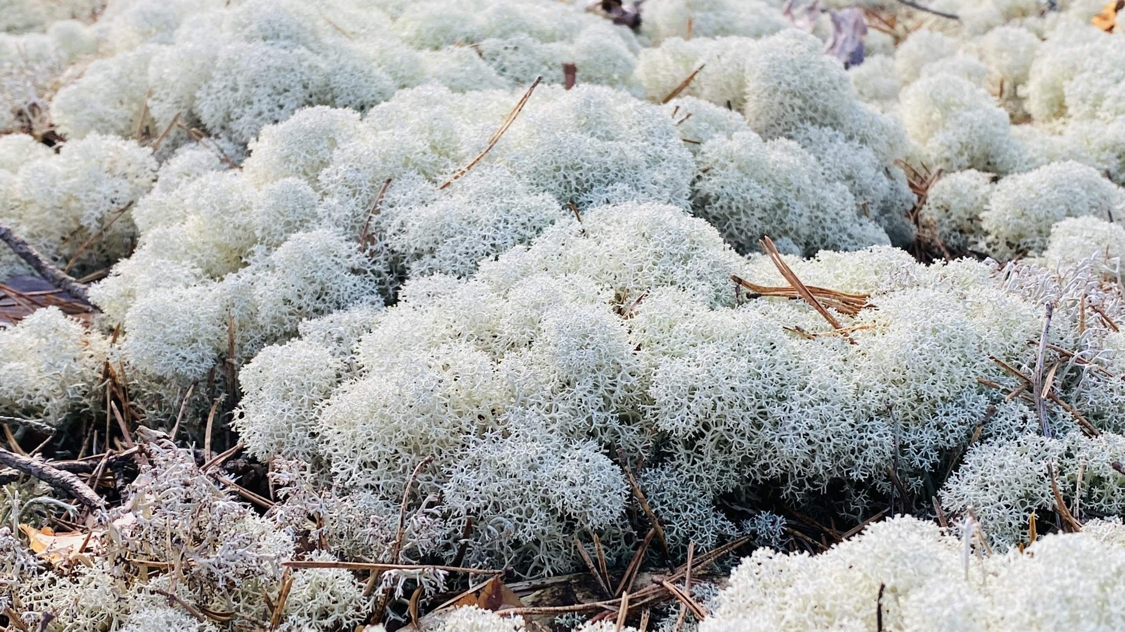 Bild ohne Beschreibung Bild ohne Beschreibung