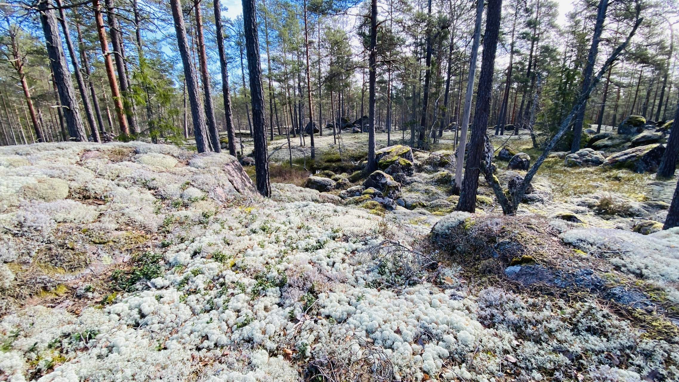 Bild ohne Beschreibung Bild ohne Beschreibung