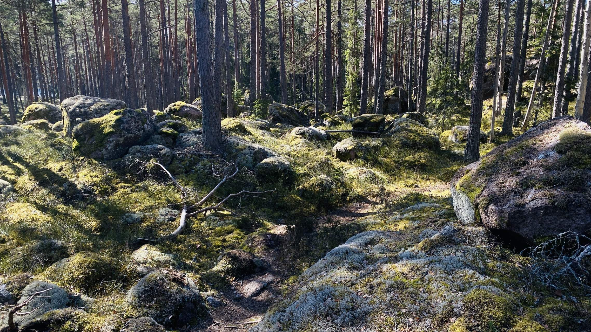 Bild ohne Beschreibung Bild ohne Beschreibung