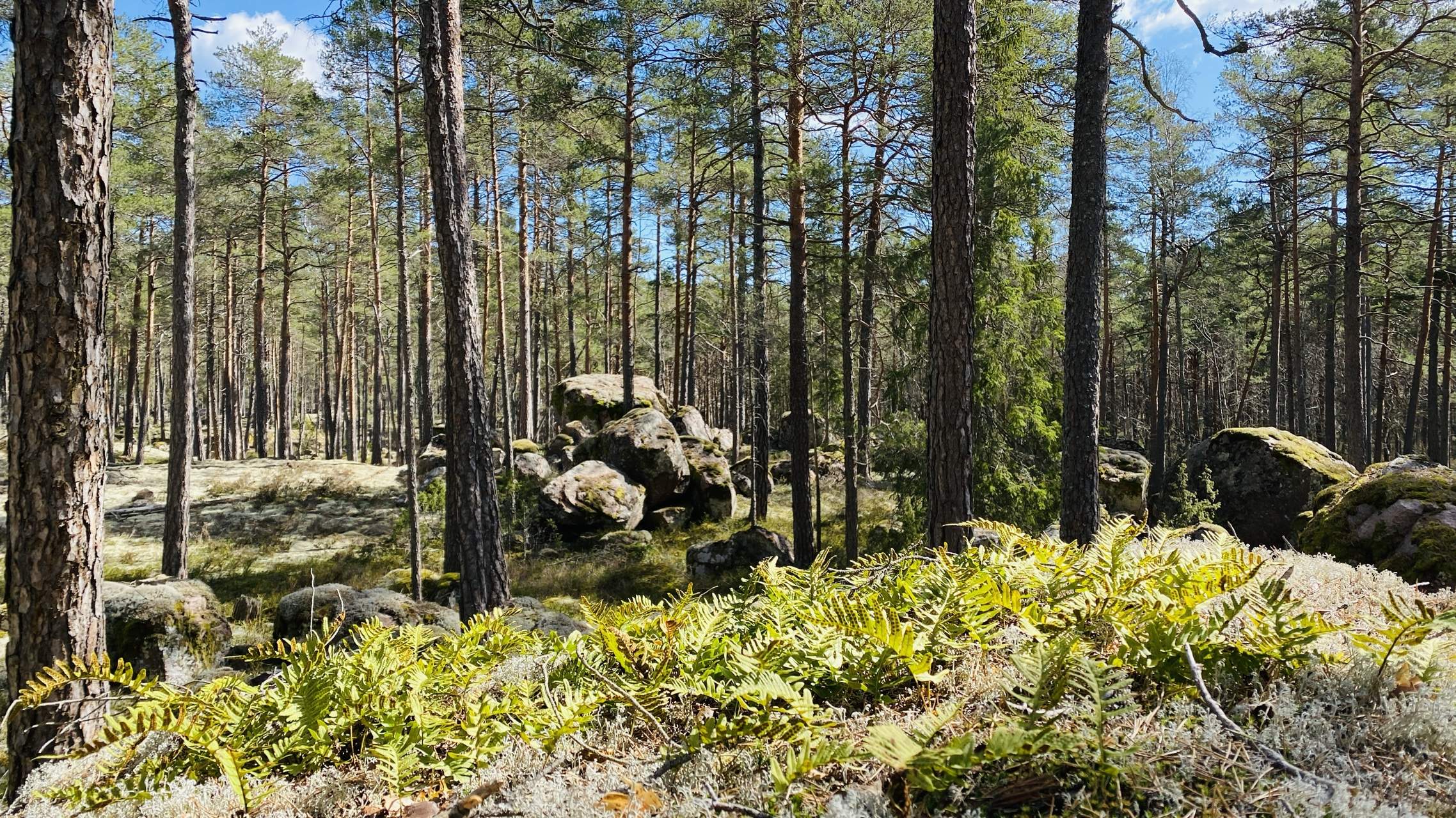 Bild ohne Beschreibung Bild ohne Beschreibung