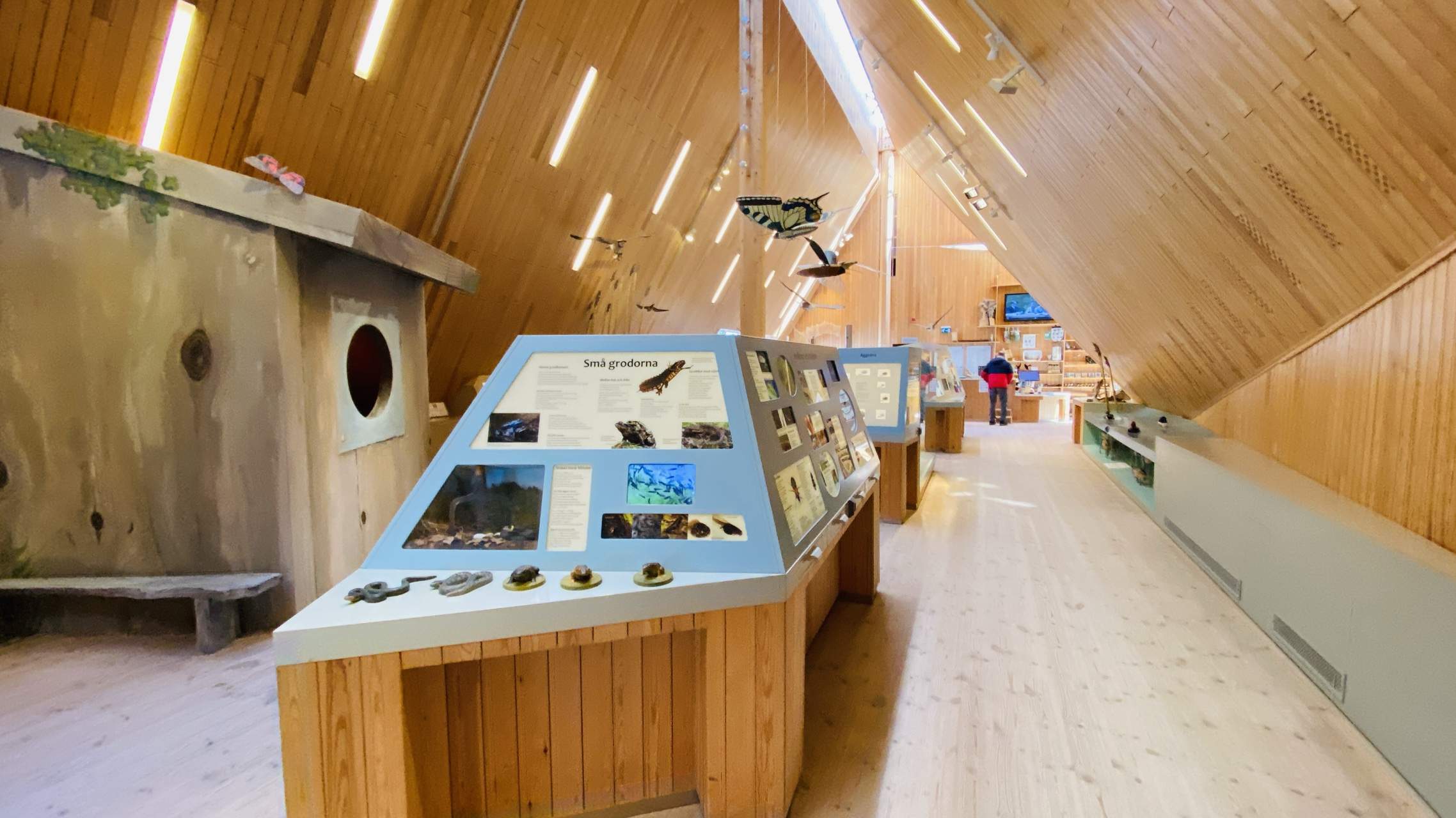 Bild ohne Beschreibung Bild ohne Beschreibung